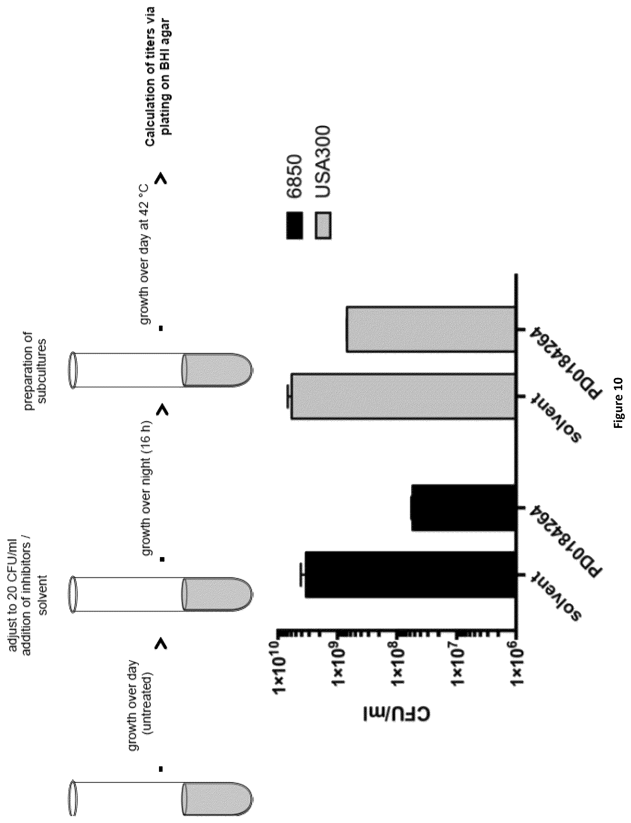 Patent US12350244 Figure 12 – MEK-inhibitor for the treatment of viral and bacterial infections