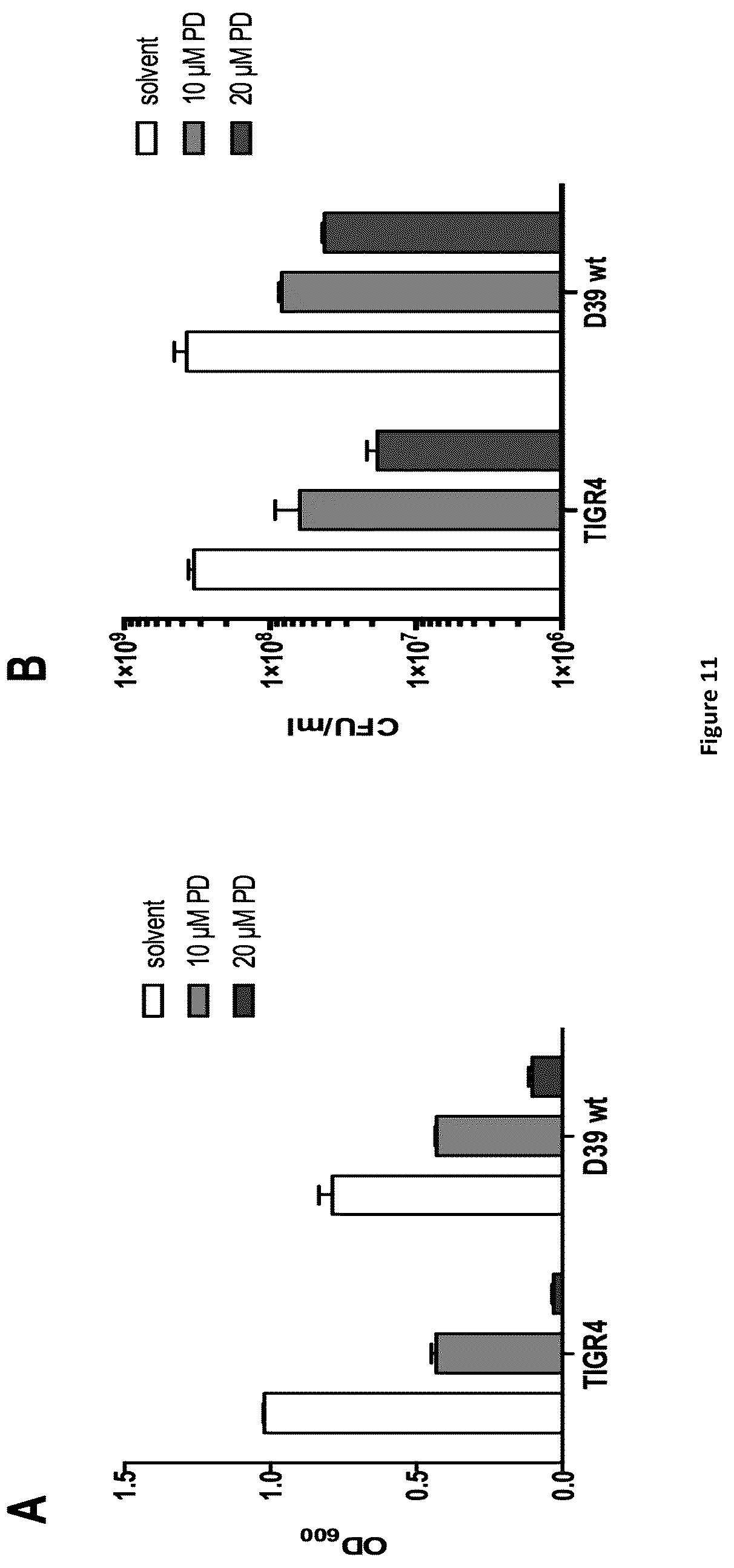 Patent US12350244 Figure 13 – MEK-inhibitor for the treatment of viral and bacterial infections