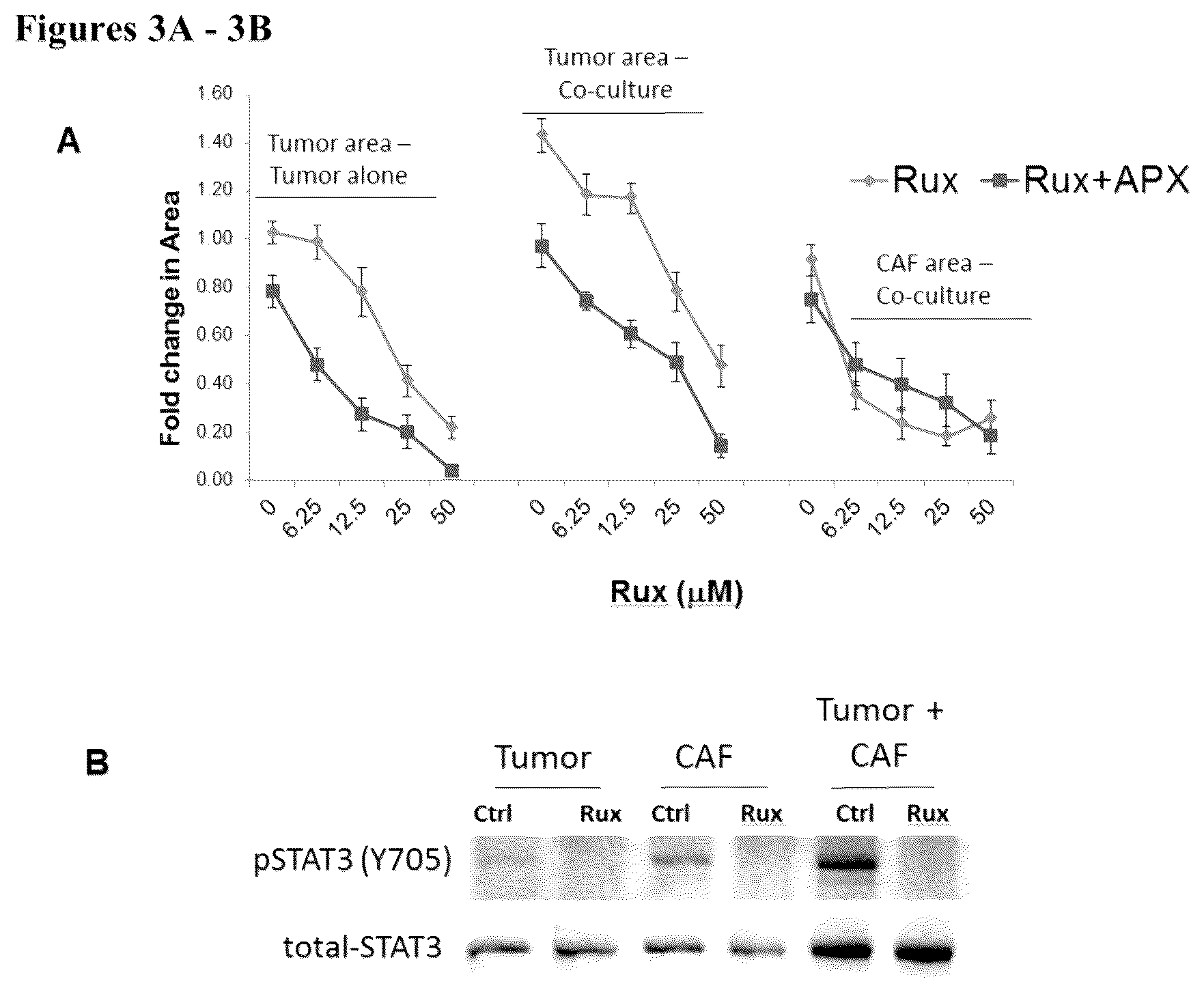 Patent US12350247 Figure 3 – Use of APE1/Ref-1 inhibitors for treatment of retinal diseases