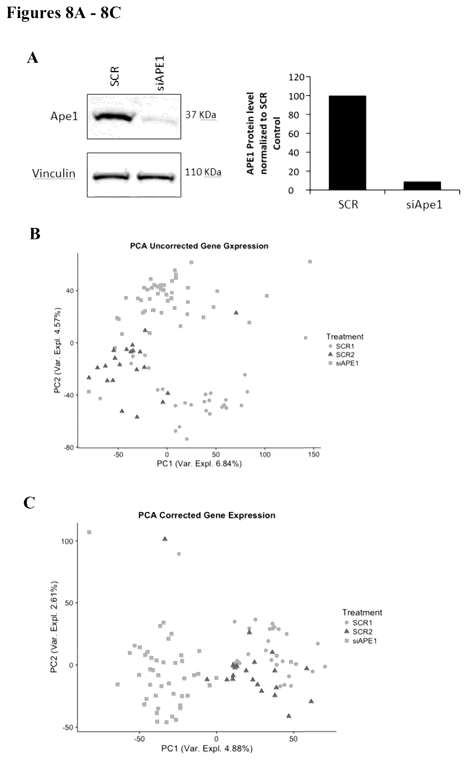 Patent US12350247 Figure 9 – Use of APE1/Ref-1 inhibitors for treatment of retinal diseases