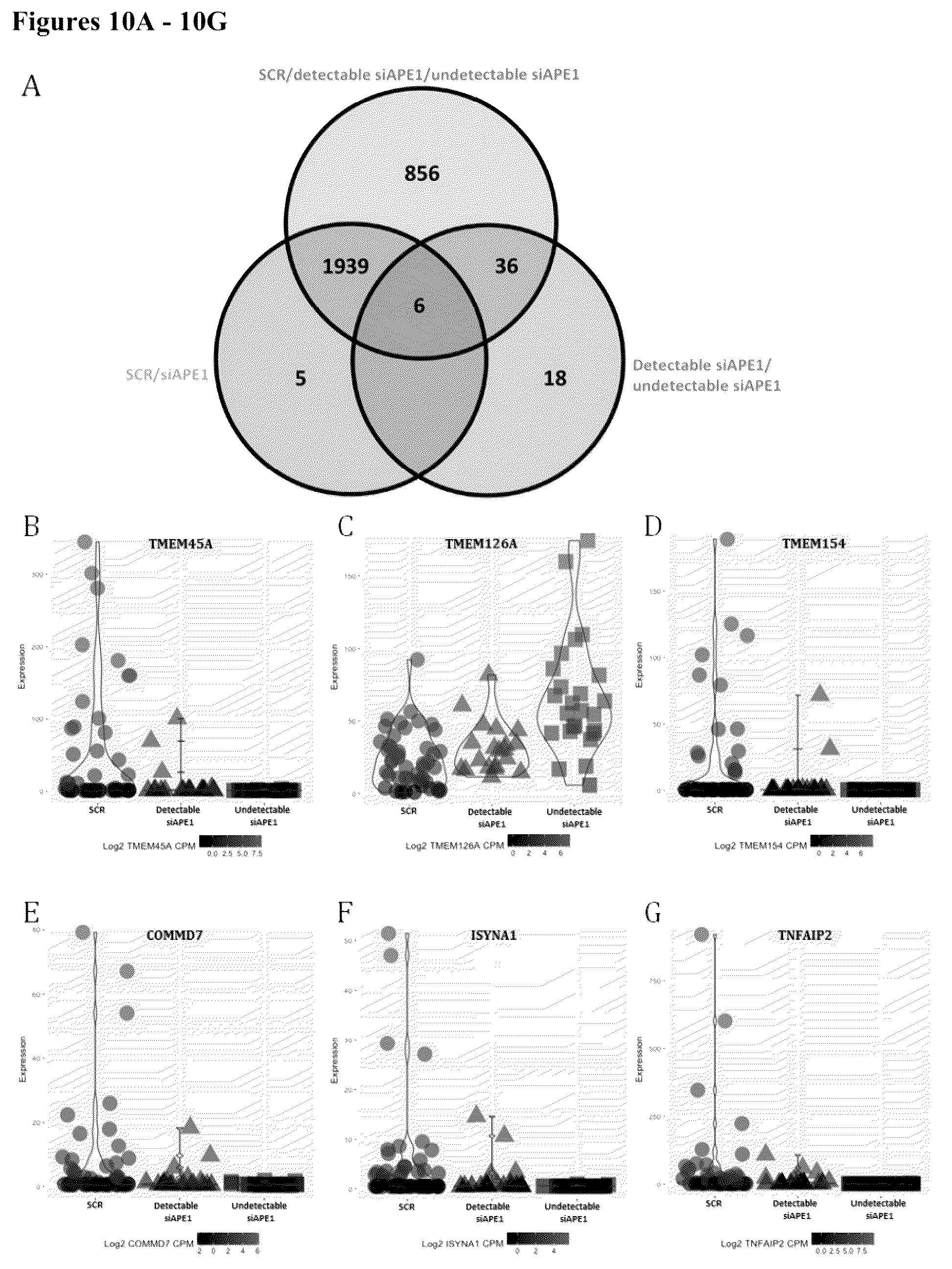 Patent US12350247 Figure 12 – Use of APE1/Ref-1 inhibitors for treatment of retinal diseases