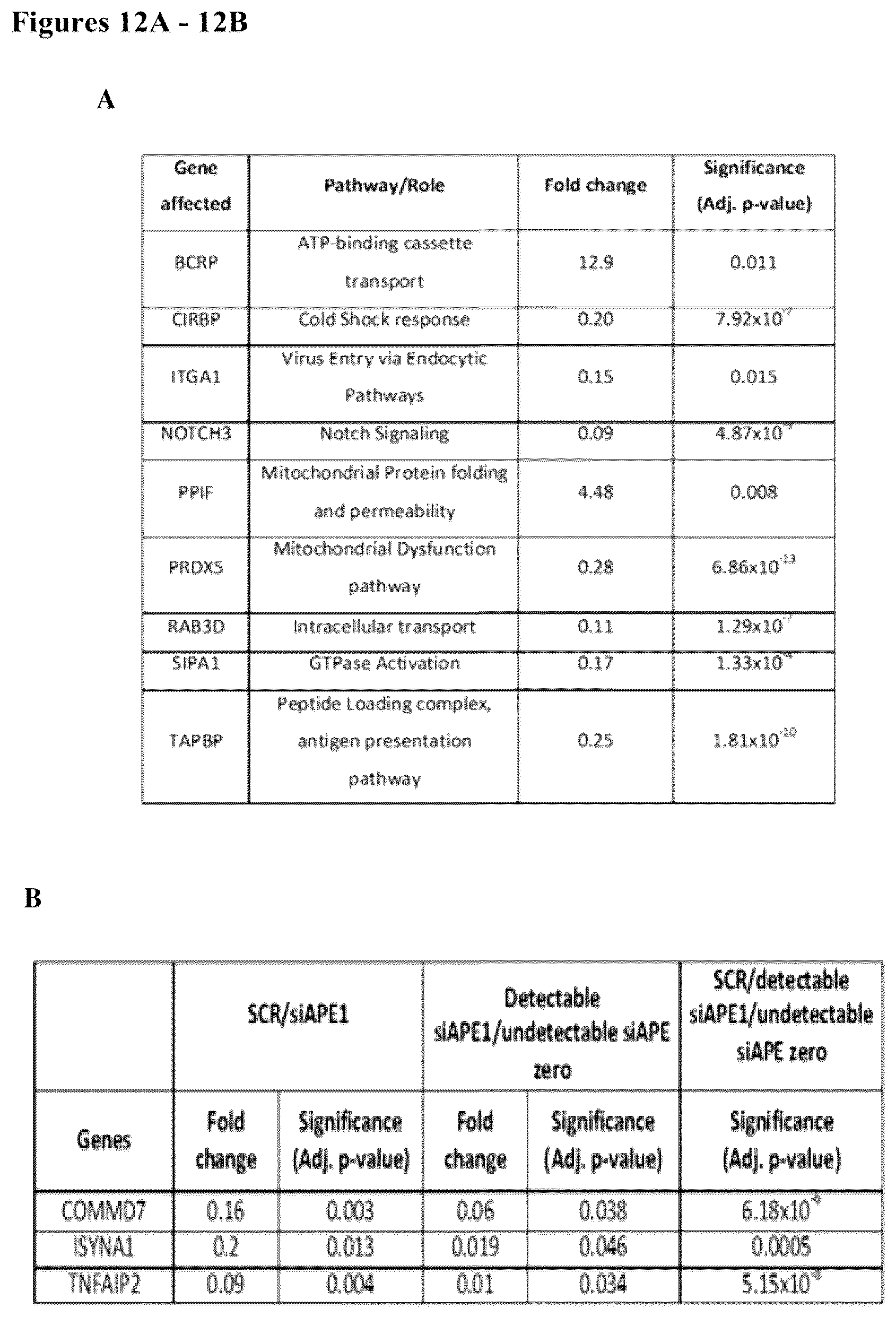 Patent US12350247 Figure 16 – Use of APE1/Ref-1 inhibitors for treatment of retinal diseases