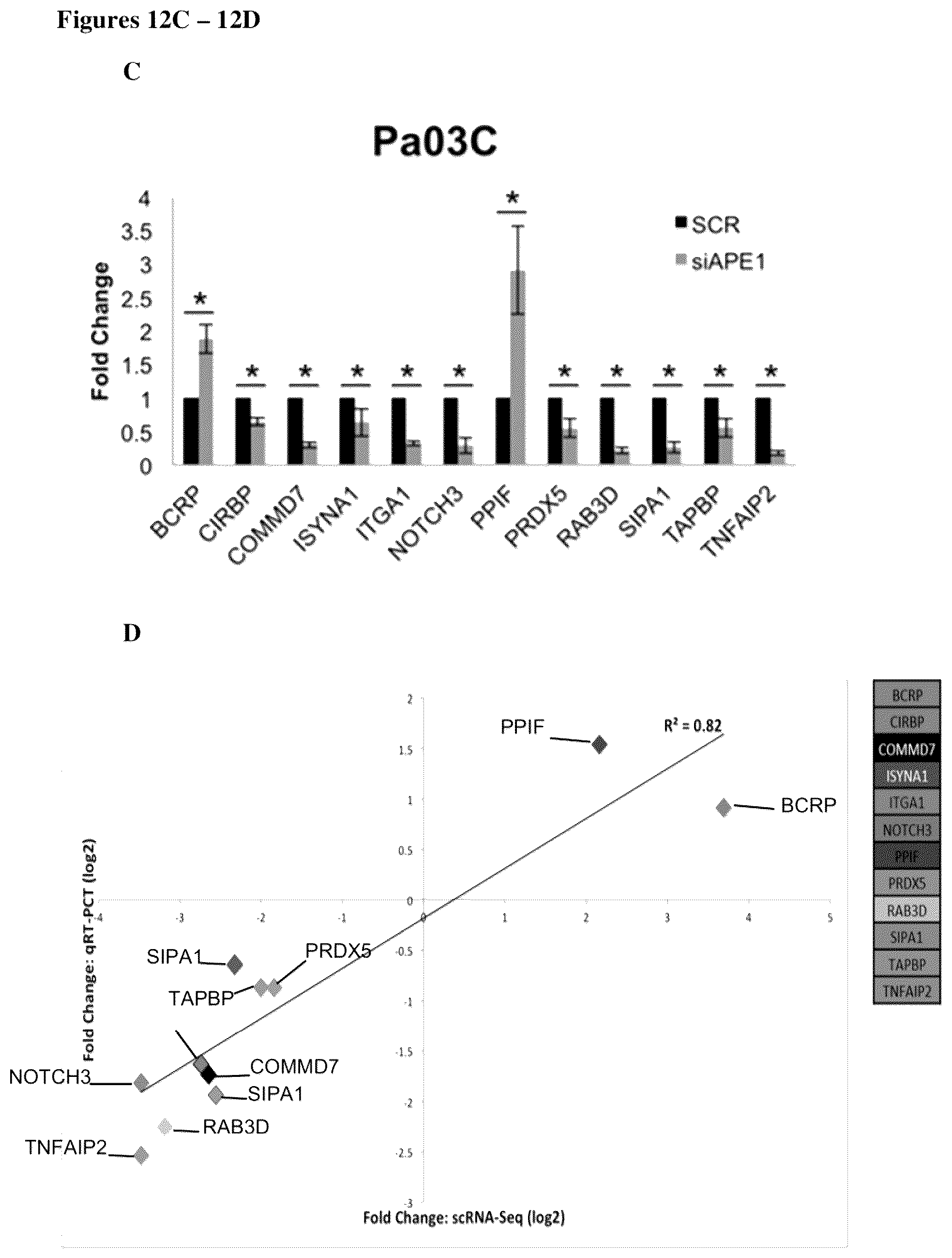Patent US12350247 Figure 17 – Use of APE1/Ref-1 inhibitors for treatment of retinal diseases
