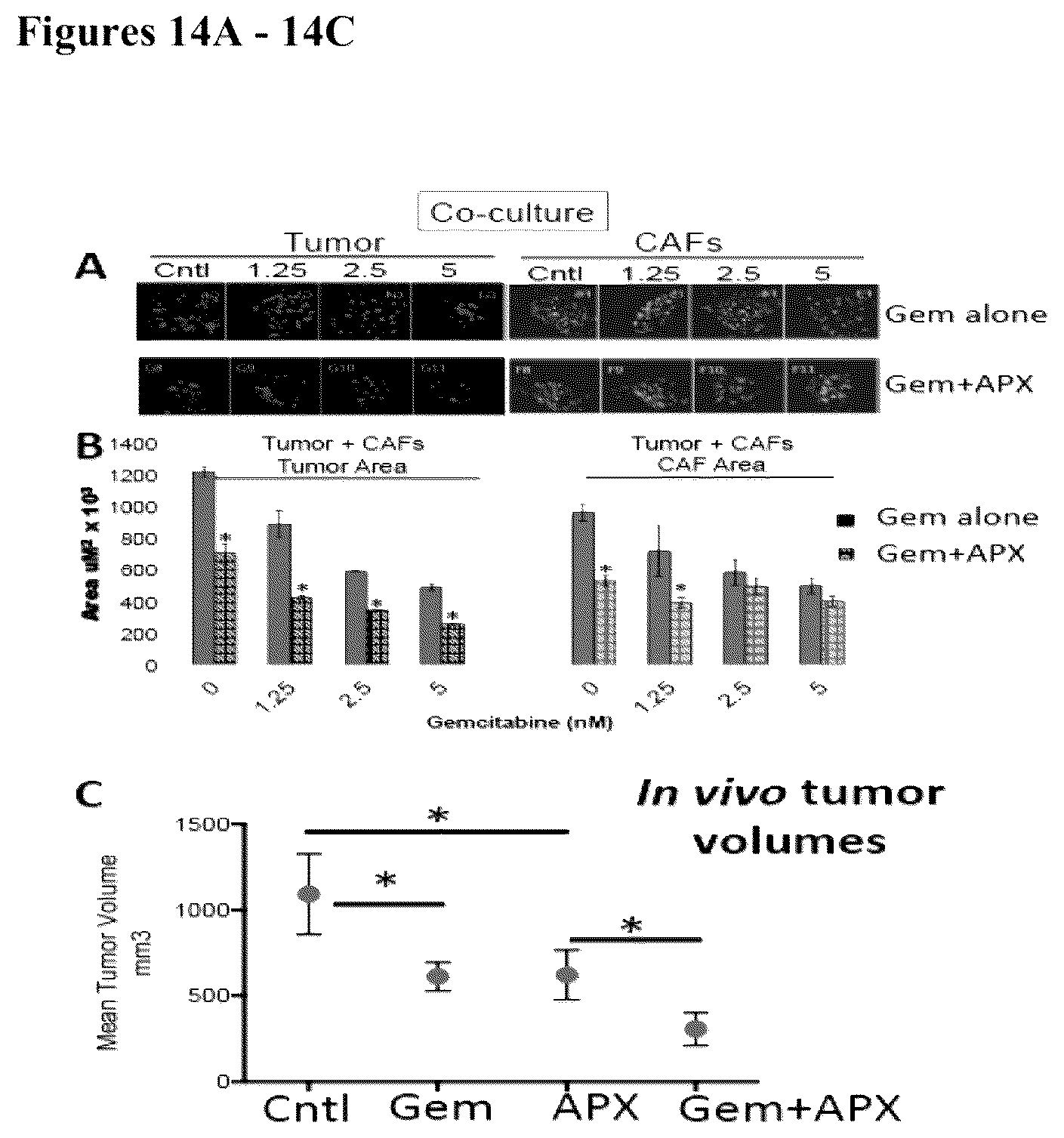 Patent US12350247 Figure 19 – Use of APE1/Ref-1 inhibitors for treatment of retinal diseases