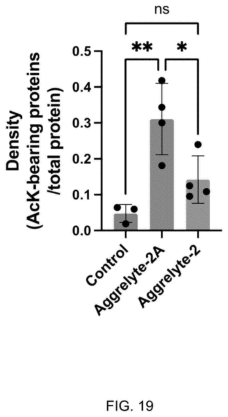 Patent US12350250 Figure 20 – Aggrelytes for treating ocular conditions