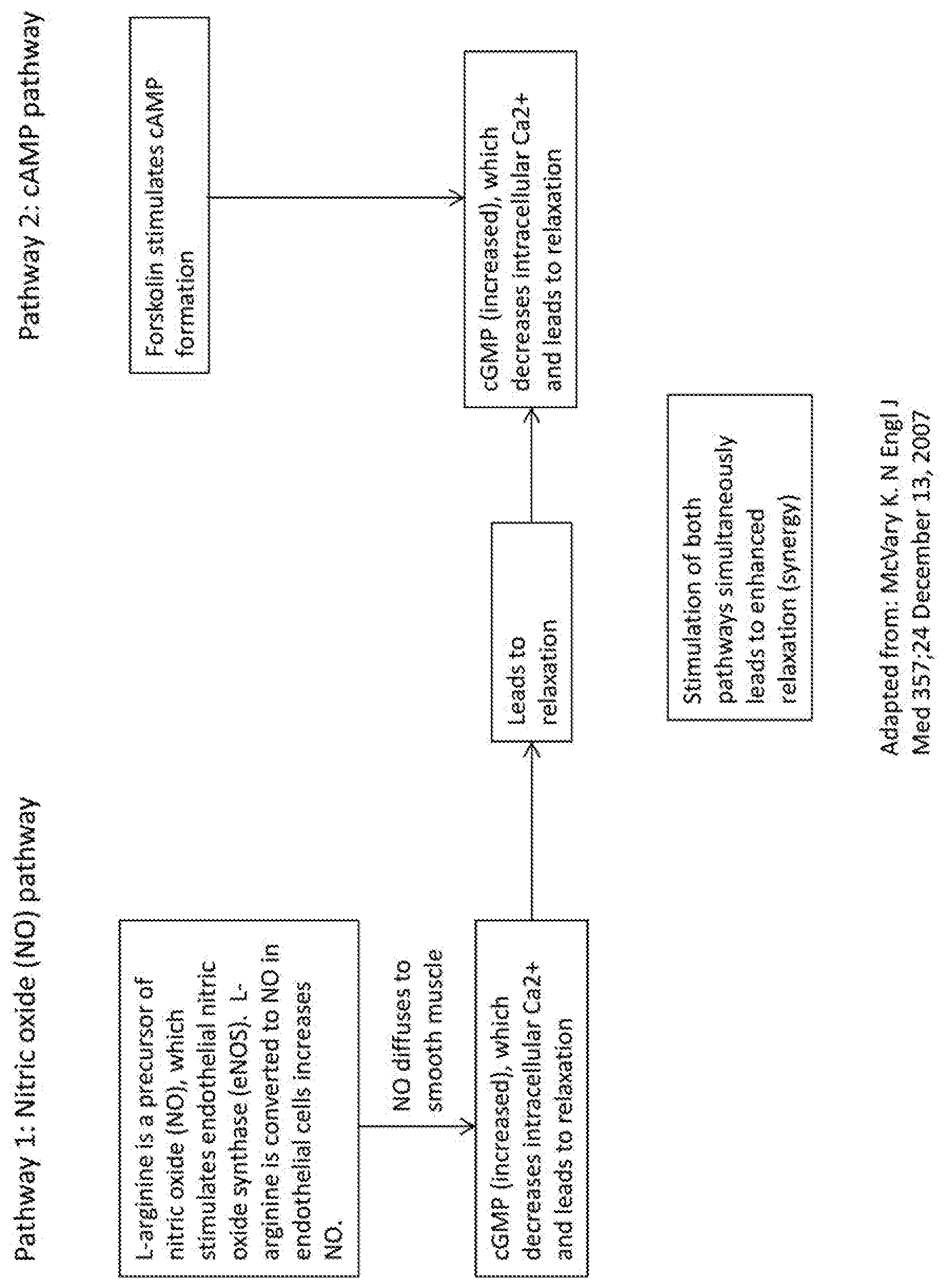 Patent US12350251 Figure 1 – Sexual health enhancement composition