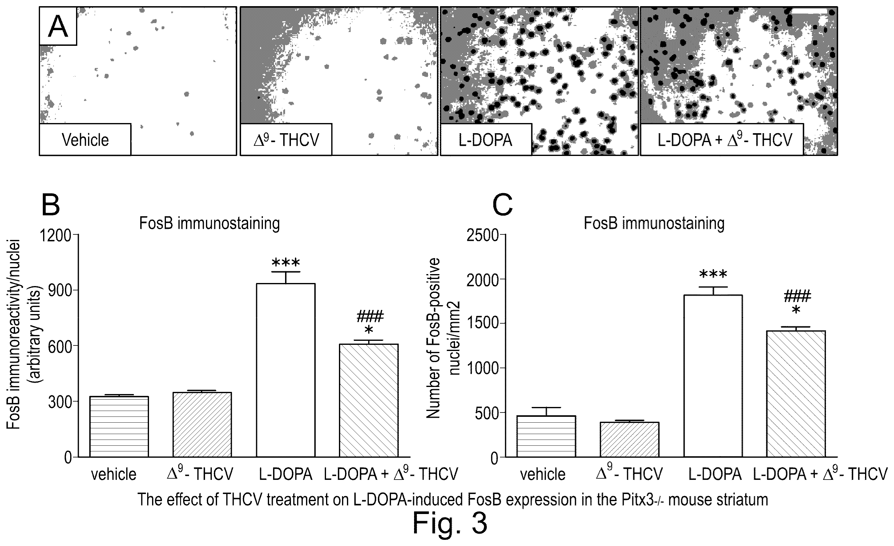 Patent US12350253 Figure 3 – Use of cannabinoids in the treatment of dyskinesia associated with parkinson's disease