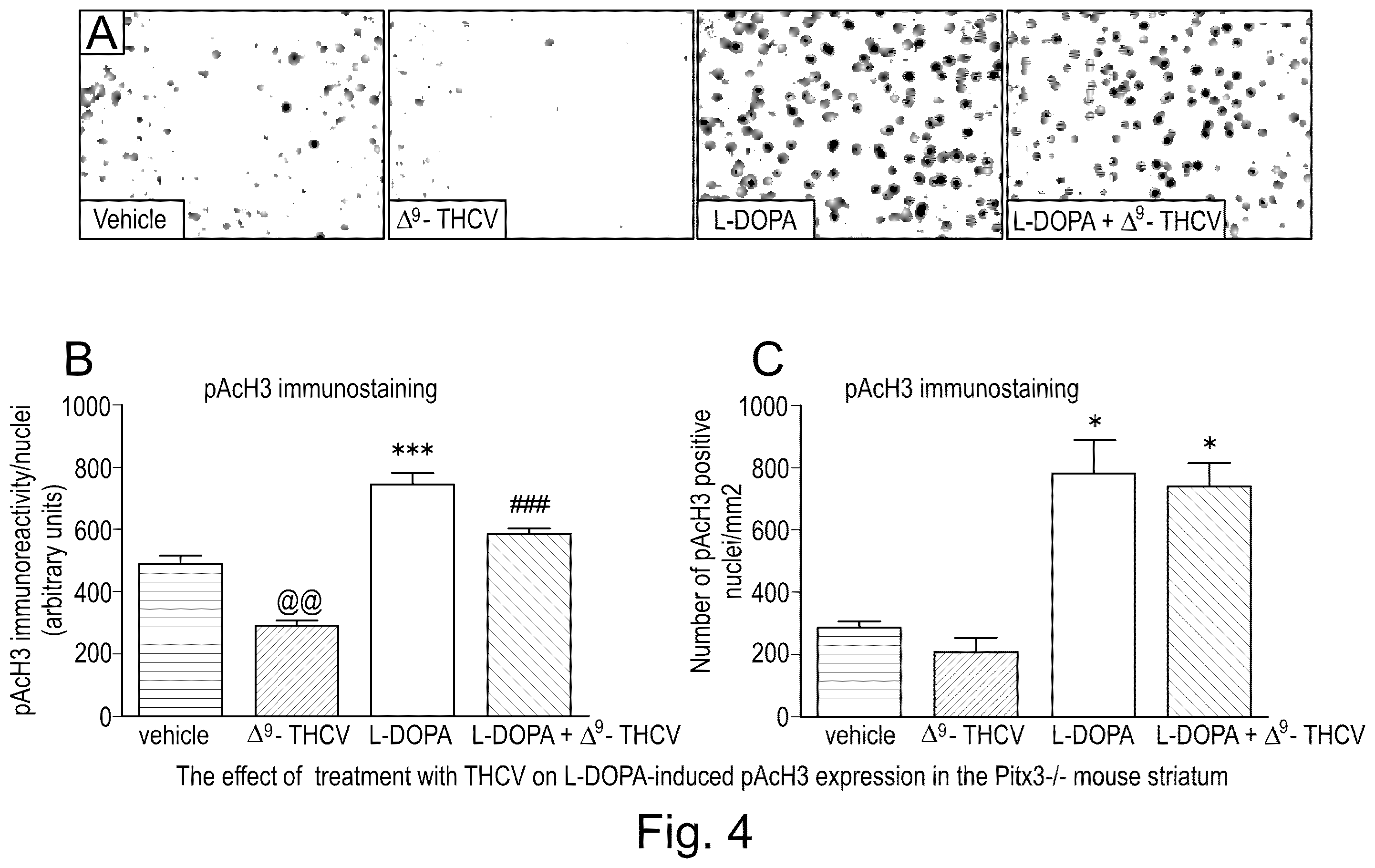 Patent US12350253 Figure 4 – Use of cannabinoids in the treatment of dyskinesia associated with parkinson's disease