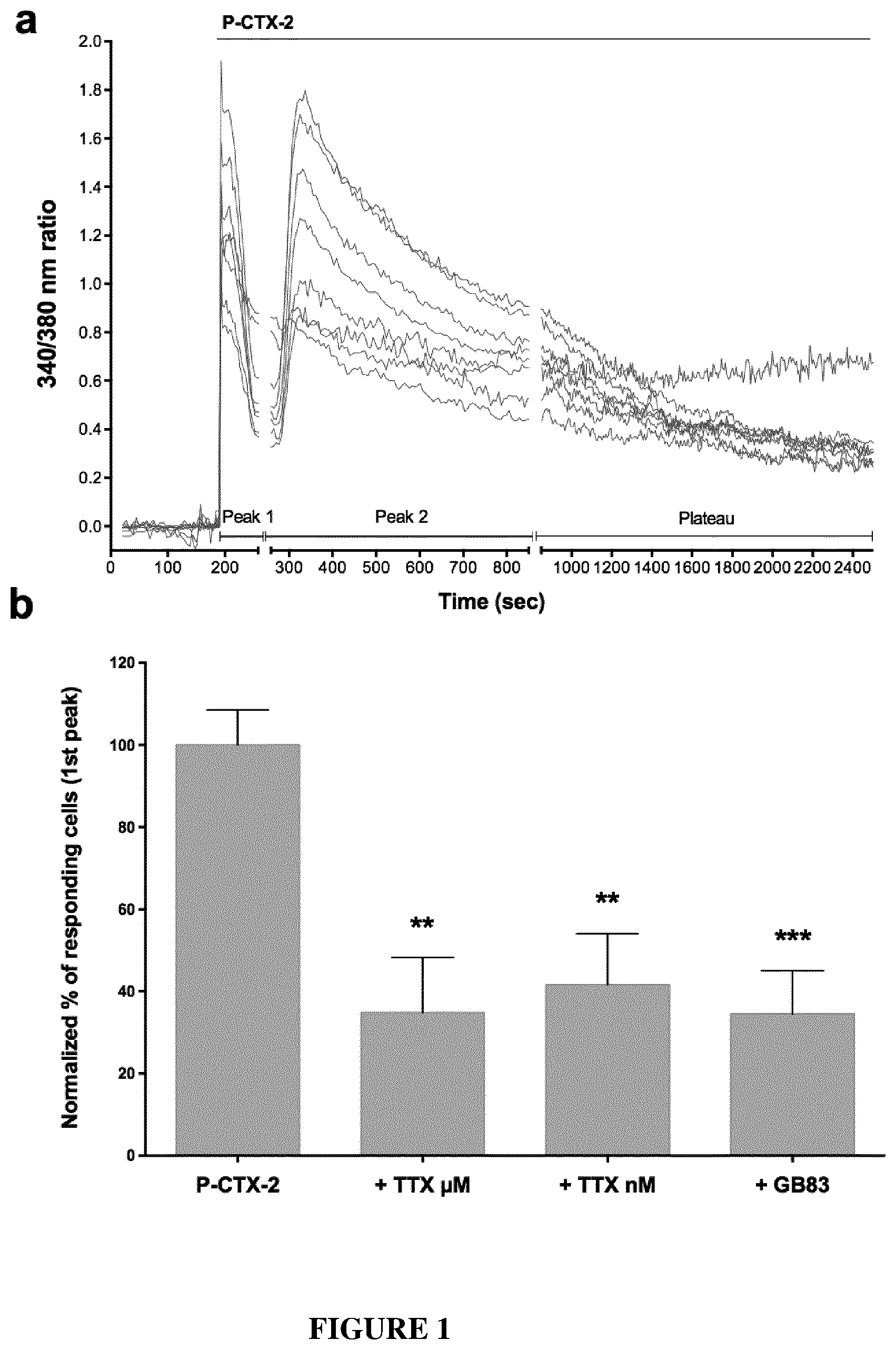 Patent US12350260 Figure 1 – Protease-activated receptor-2 inhibitors for the treatment of sensory neuropathy induced by a marine neurotoxic poisoning