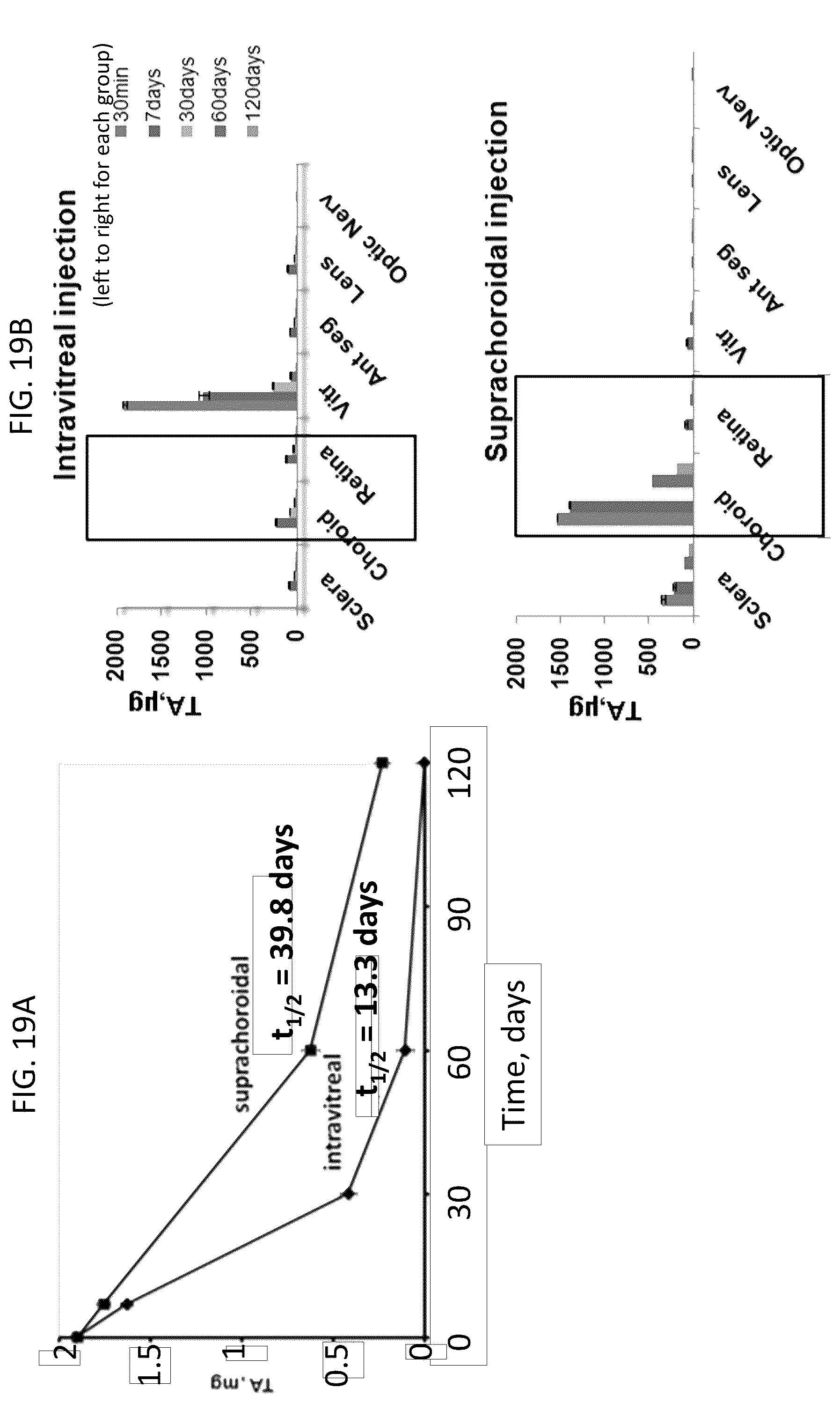 Patent US12350261 Figure 17 – Methods and devices for the treatment of ocular diseases in human subjects