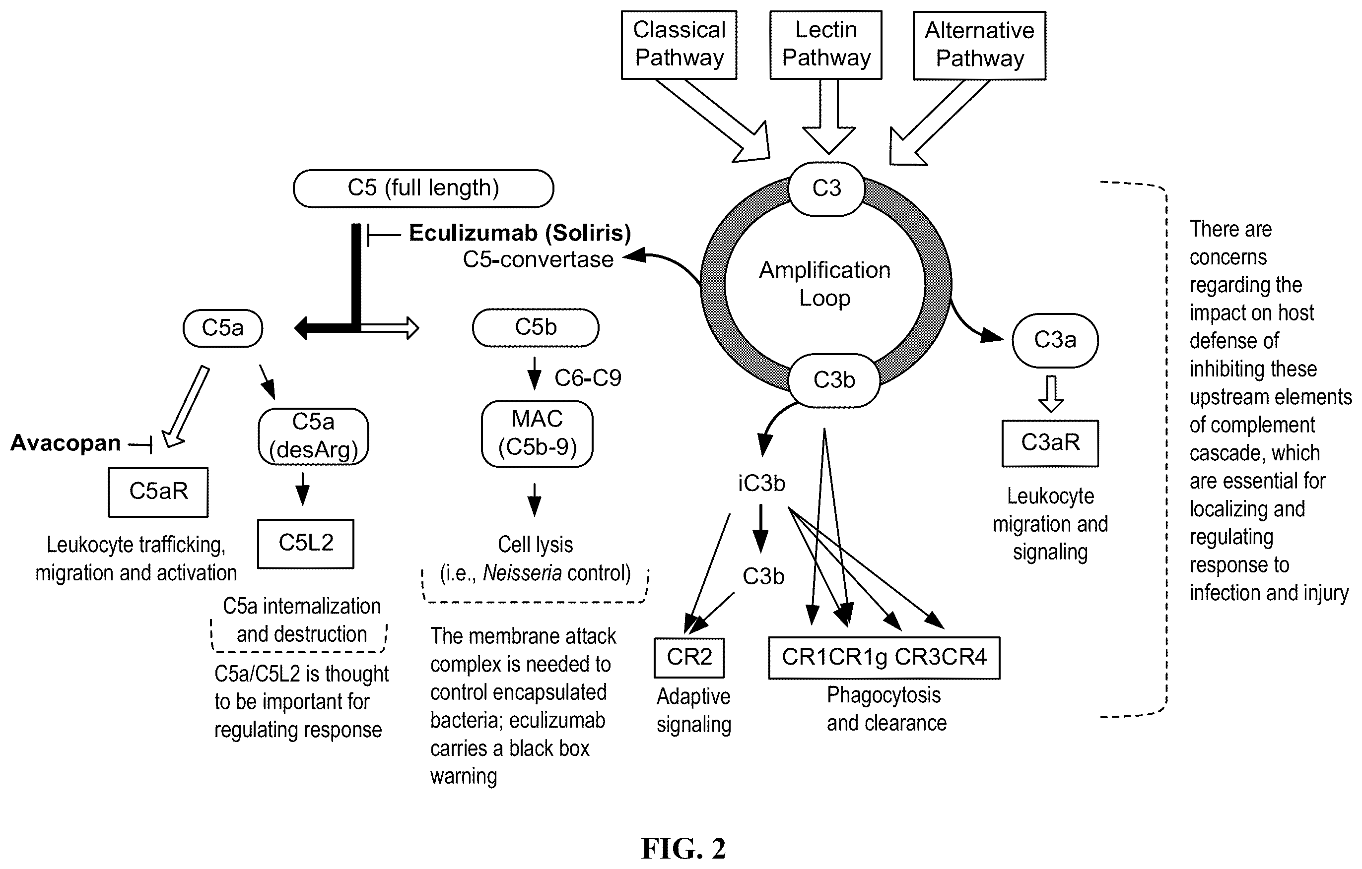 Patent US12350263 Figure 2 – Dosing and effect of C5a antagonist with ANCA-associated vasculitis