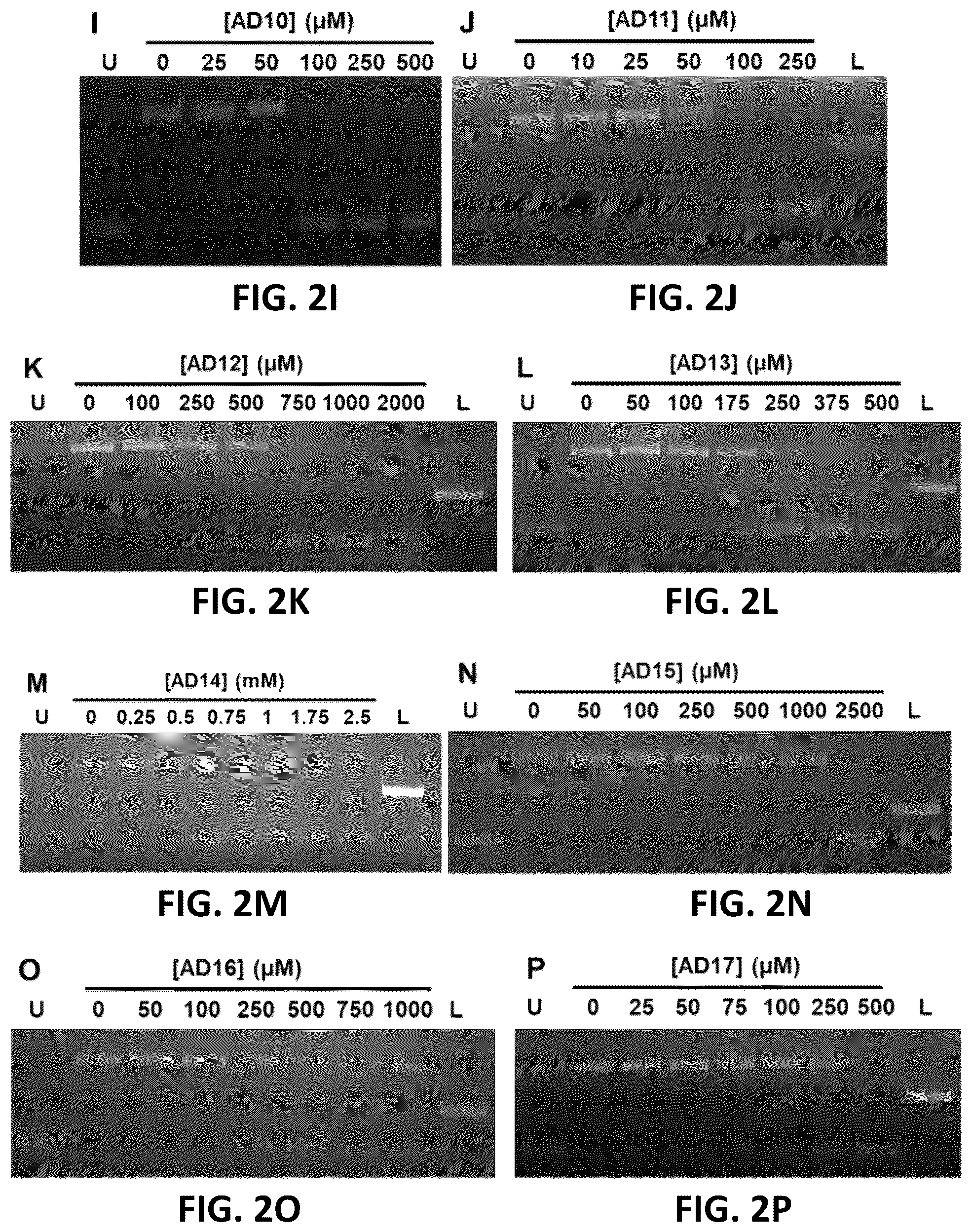 Patent US12350264 Figure 3 – Compositions and methods for treating, preventing or reversing age-associated inflammation and disorder