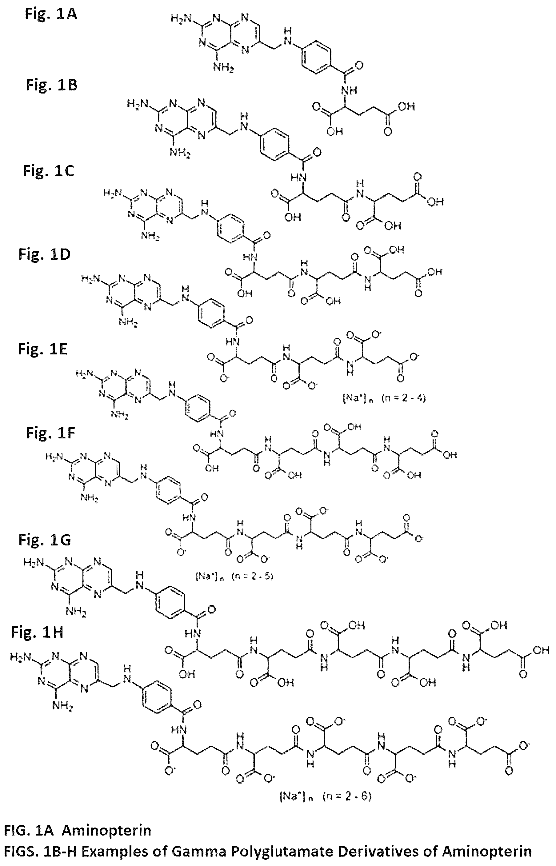 Patent US12350271 Figure 1 – Gamma polyglutamated aminopterin and uses thereof