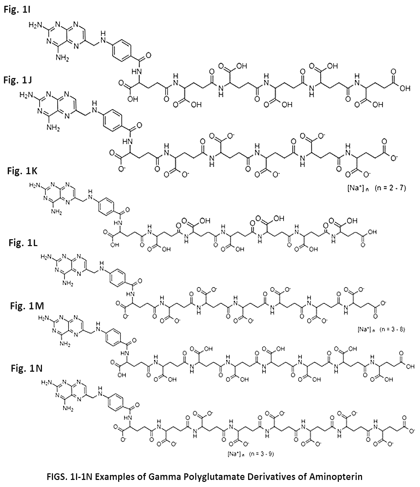 Patent US12350271 Figure 2 – Gamma polyglutamated aminopterin and uses thereof