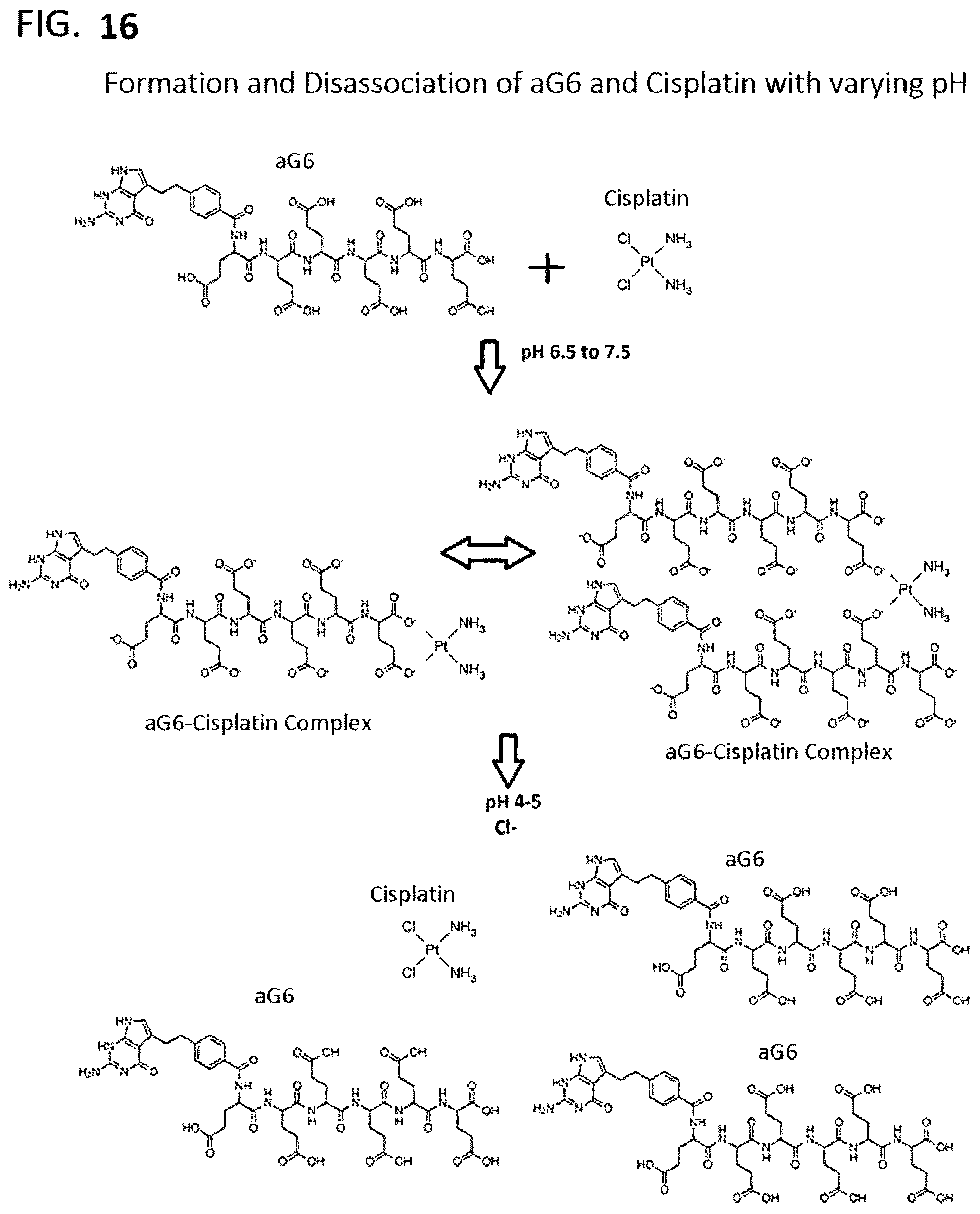 Patent US12350271 Figure 11 – Gamma polyglutamated aminopterin and uses thereof