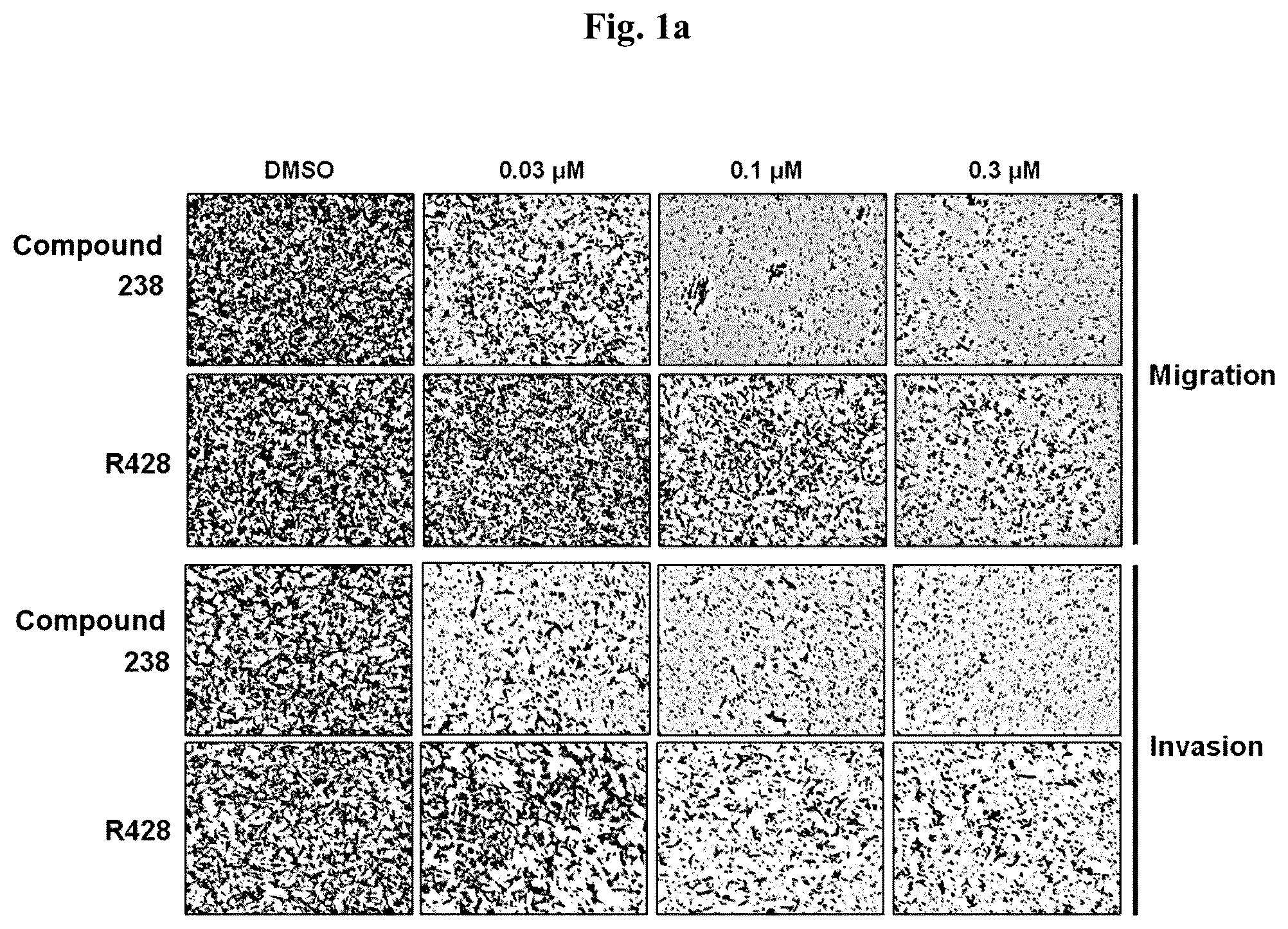 Patent US12350272 Figure 1 – Pyridopyrimidinone derivatives for use as AXL inhibitors