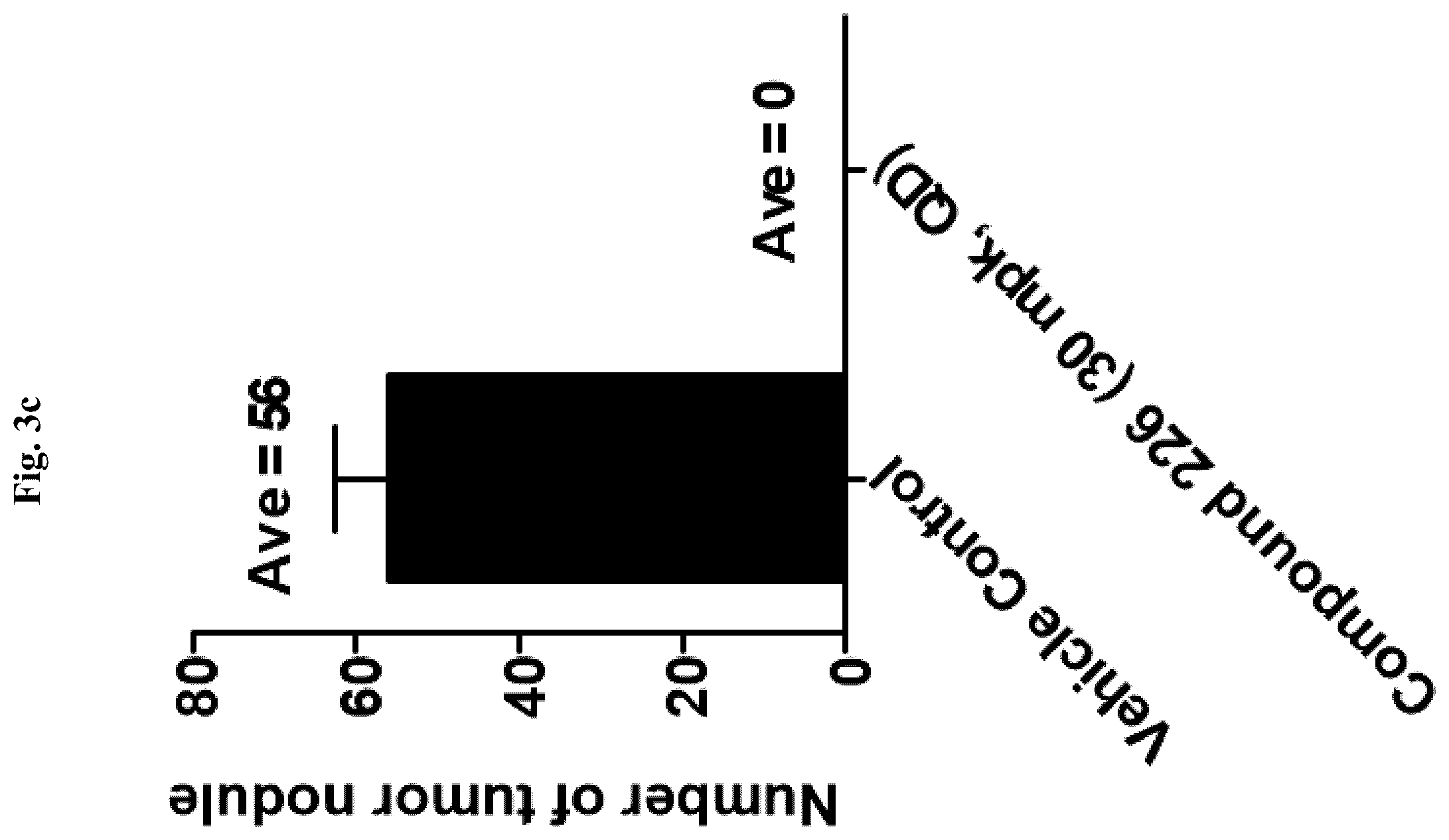 Patent US12350272 Figure 8 – Pyridopyrimidinone derivatives for use as AXL inhibitors