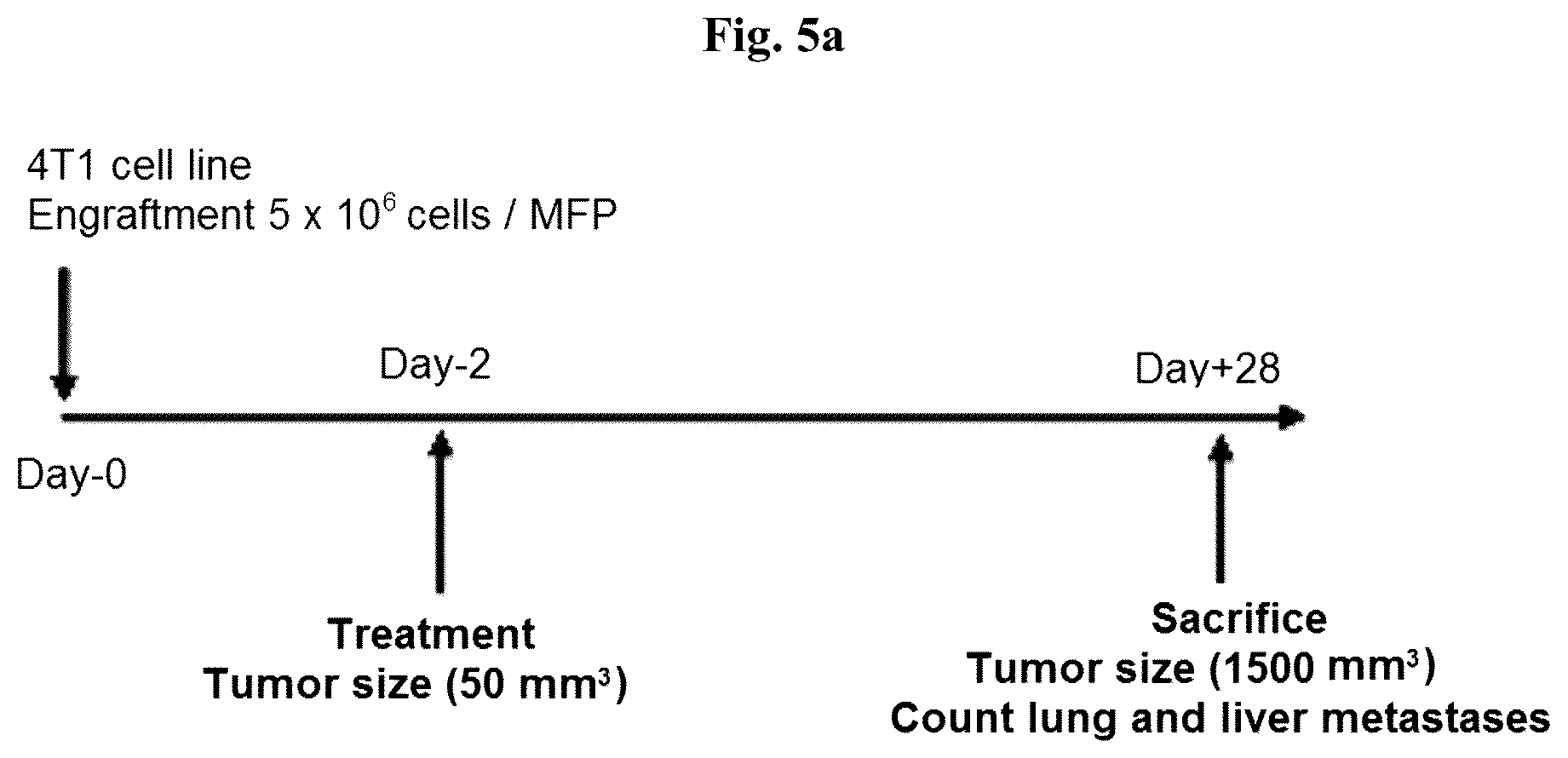 Patent US12350272 Figure 11 – Pyridopyrimidinone derivatives for use as AXL inhibitors