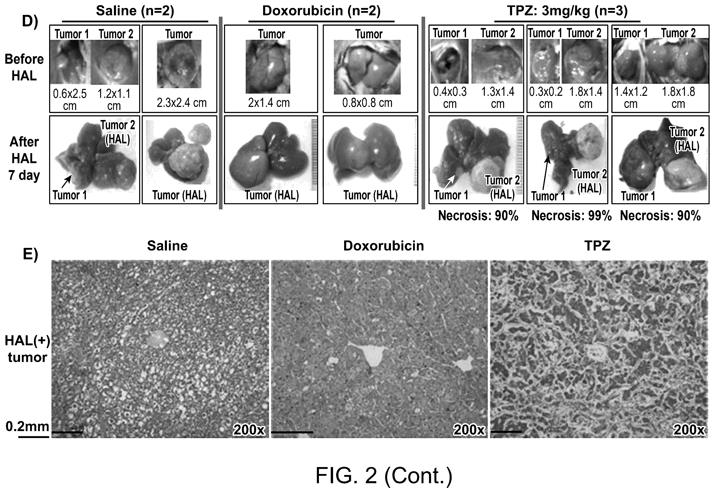 Patent US12350275 Figure 3 – Compositions and methods for immune-mediated cancer therapy