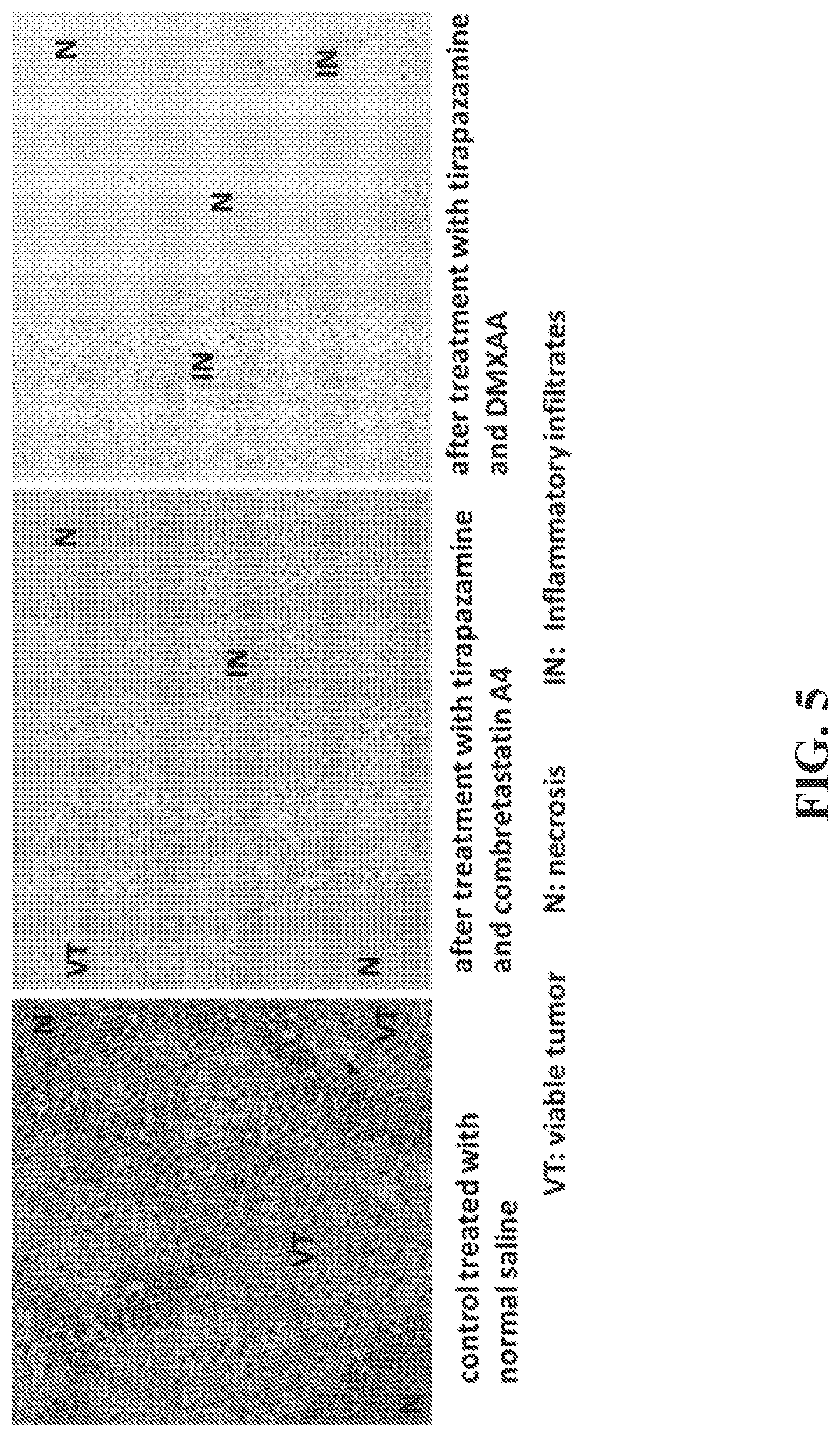 Patent US12350275 Figure 6 – Compositions and methods for immune-mediated cancer therapy