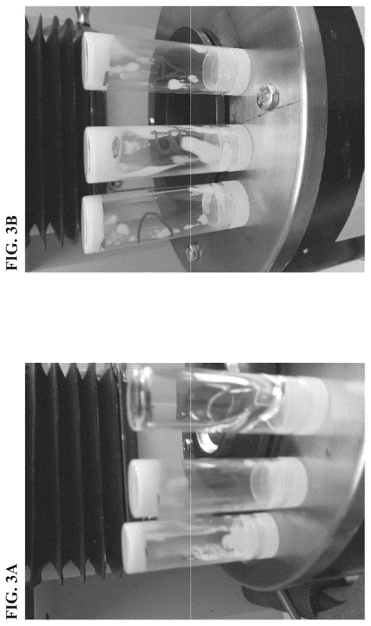 Patent US12350277 Figure 3 – Compositions and methods of use for treating aberrant inflammation in peri-ocular secretory glands or at the ocular surface