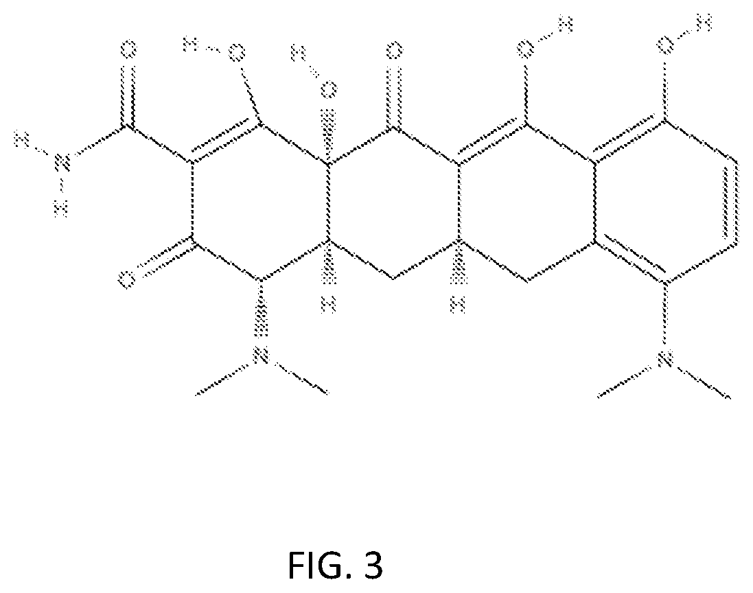 Patent US12350278 Figure 3 – Therapy and prevention of prion protein complex infections in non-human animals