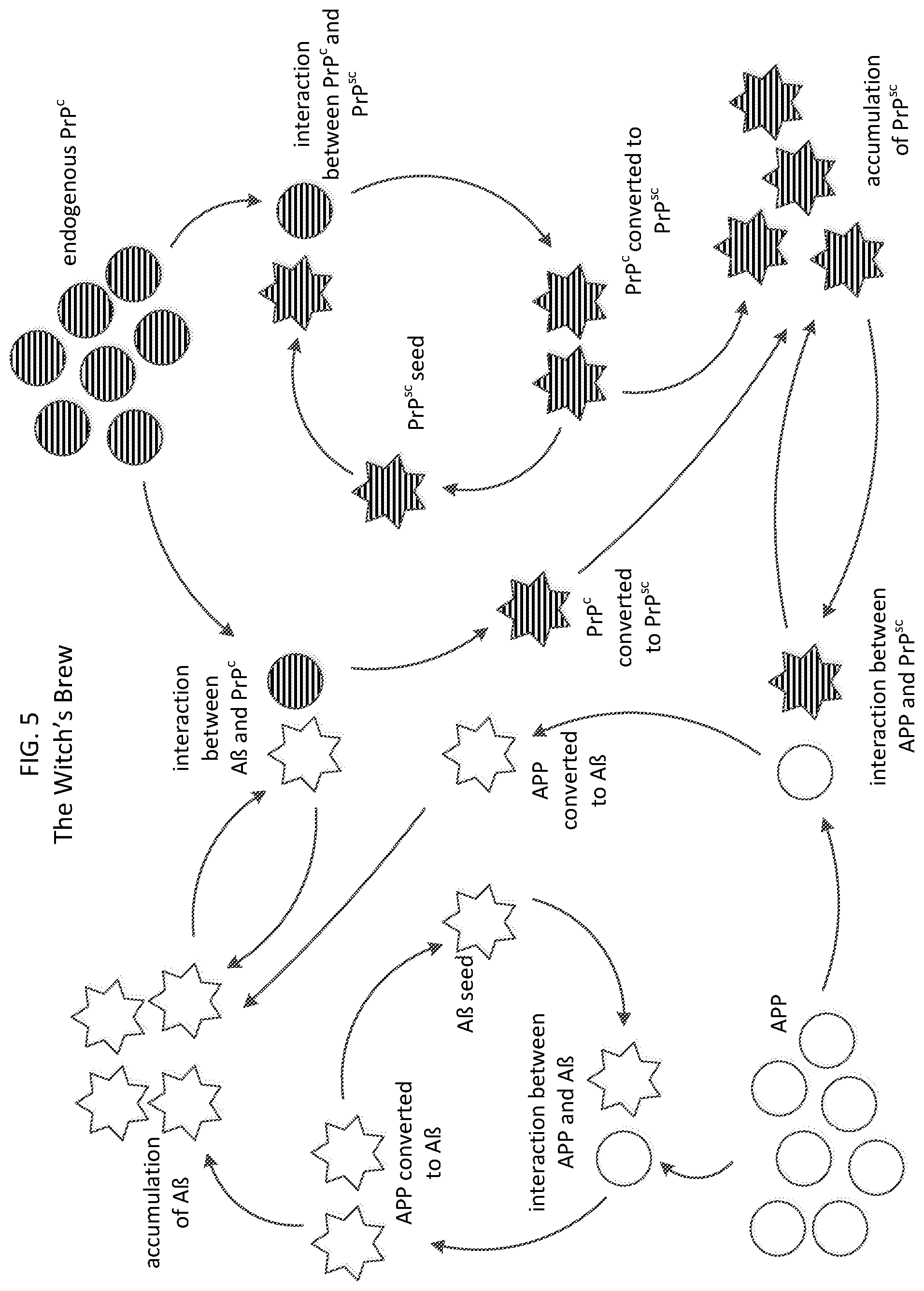 Patent US12350278 Figure 5 – Therapy and prevention of prion protein complex infections in non-human animals