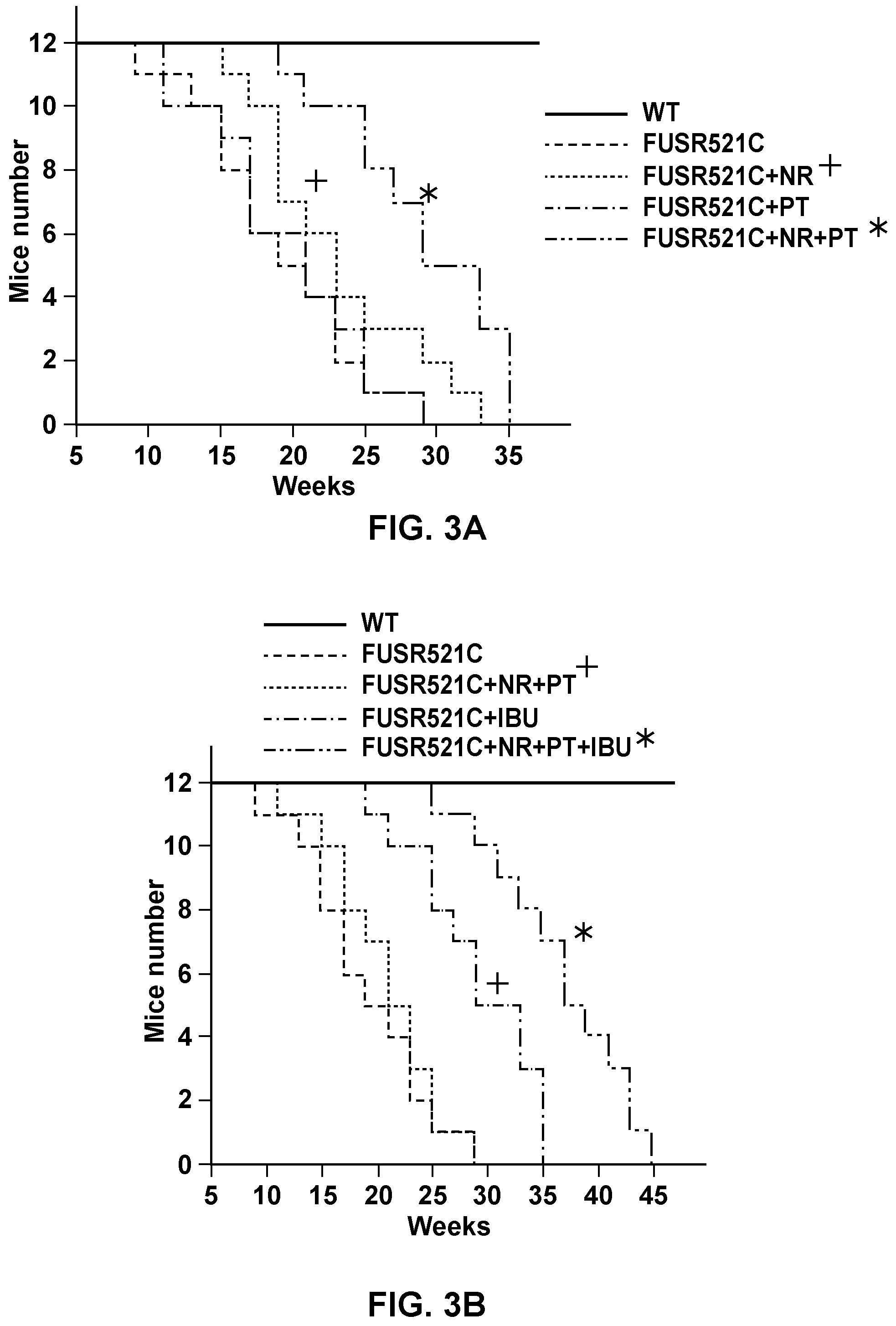 Patent US12350283 Figure 3 – Methods and compositions for treating motor neuron diseases