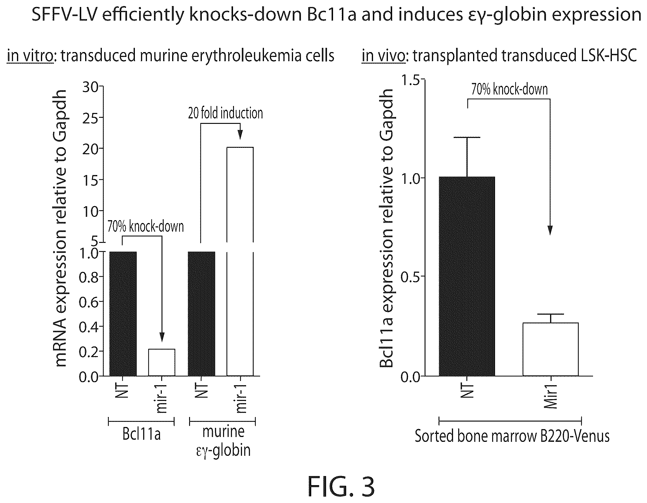 Patent US12350284 Figure 3 – BCL11A microRNAs for treating hemoglobinopathies