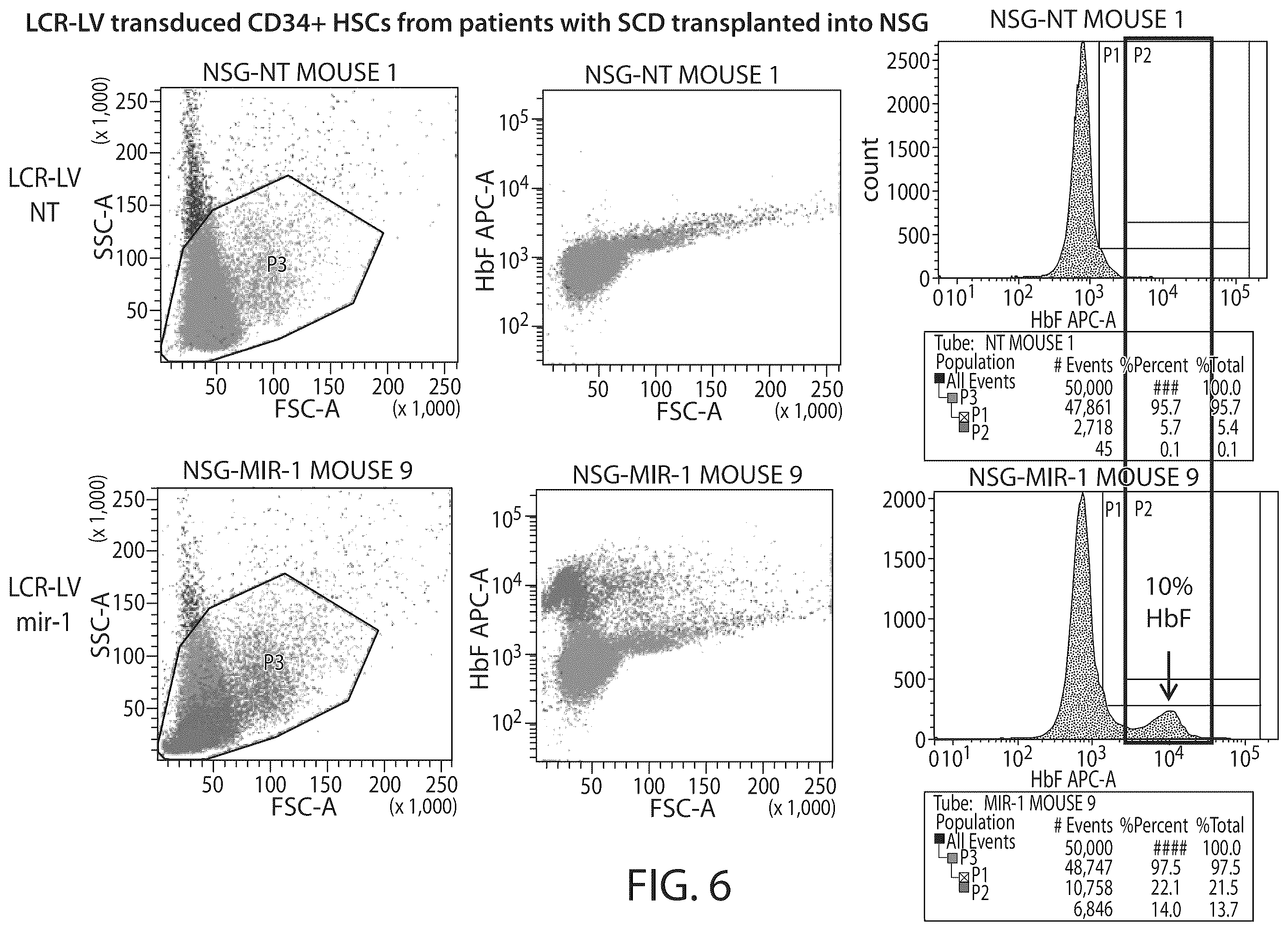 Patent US12350284 Figure 6 – BCL11A microRNAs for treating hemoglobinopathies