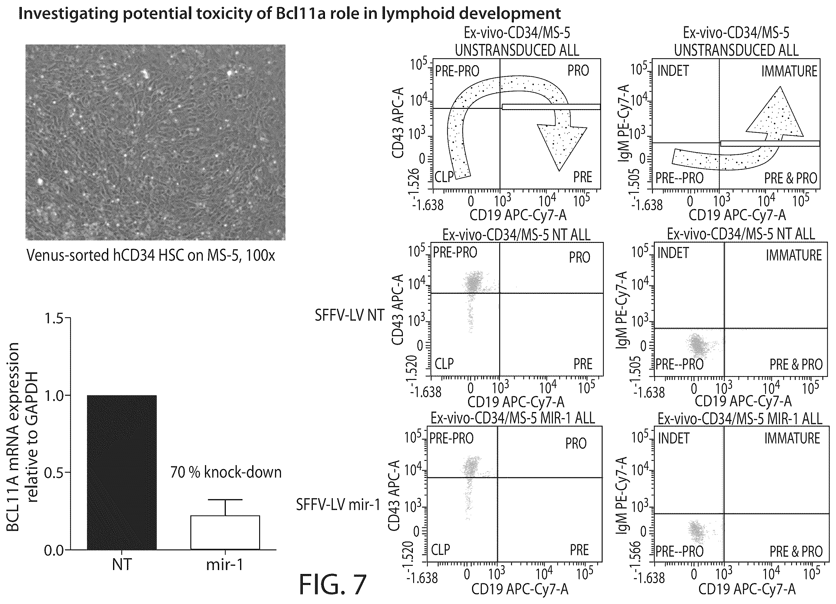 Patent US12350284 Figure 7 – BCL11A microRNAs for treating hemoglobinopathies