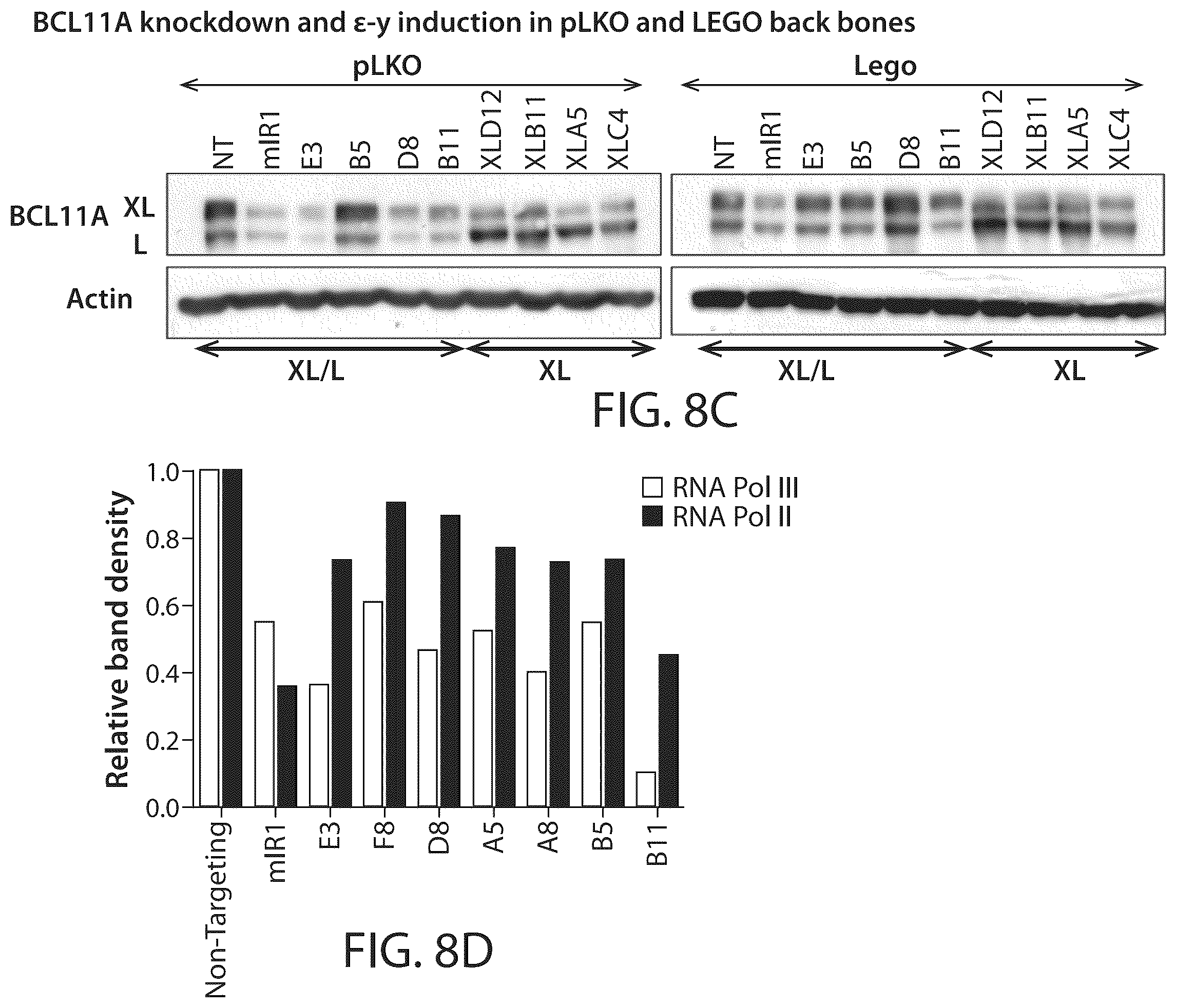 Patent US12350284 Figure 10 – BCL11A microRNAs for treating hemoglobinopathies