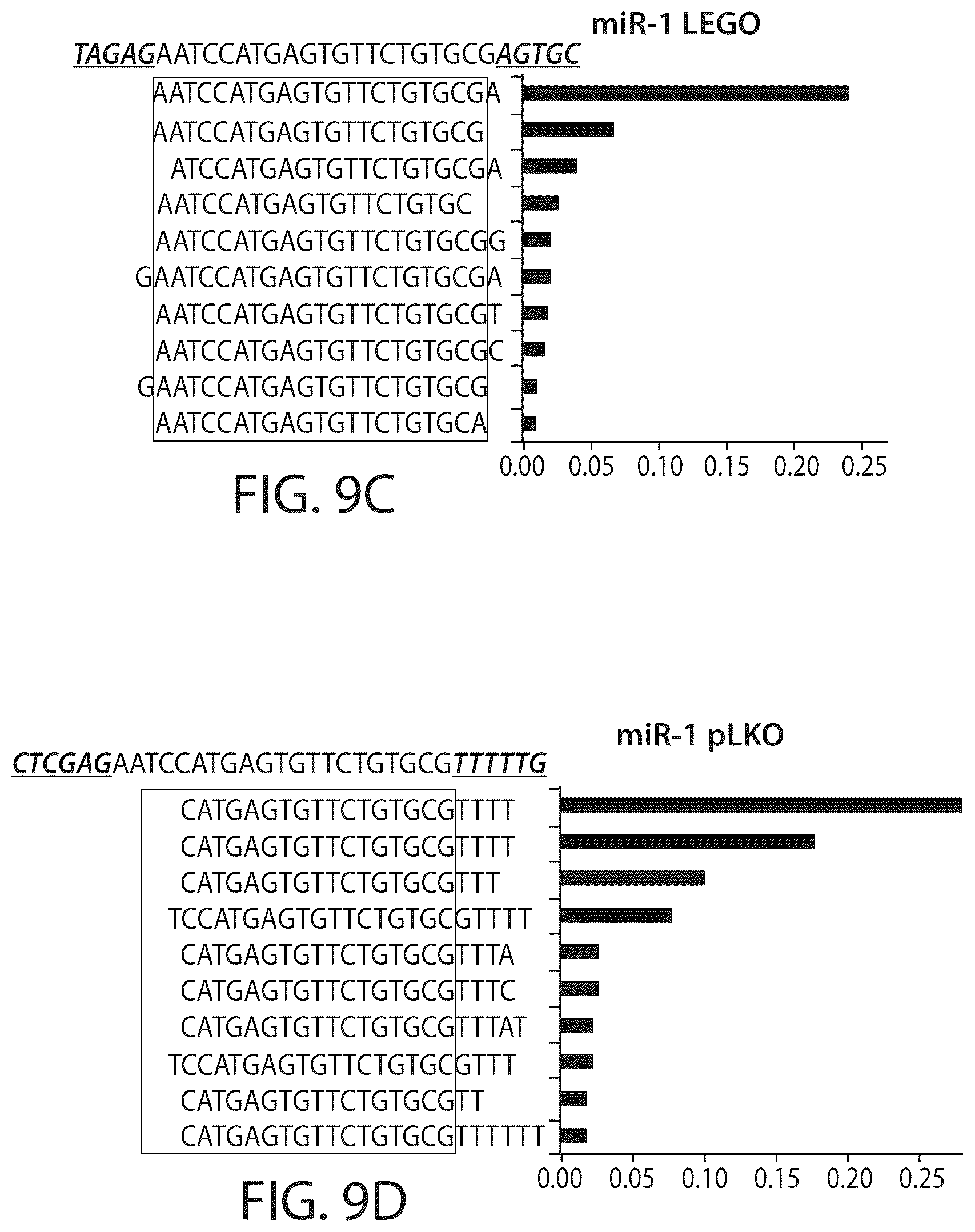 Patent US12350284 Figure 13 – BCL11A microRNAs for treating hemoglobinopathies