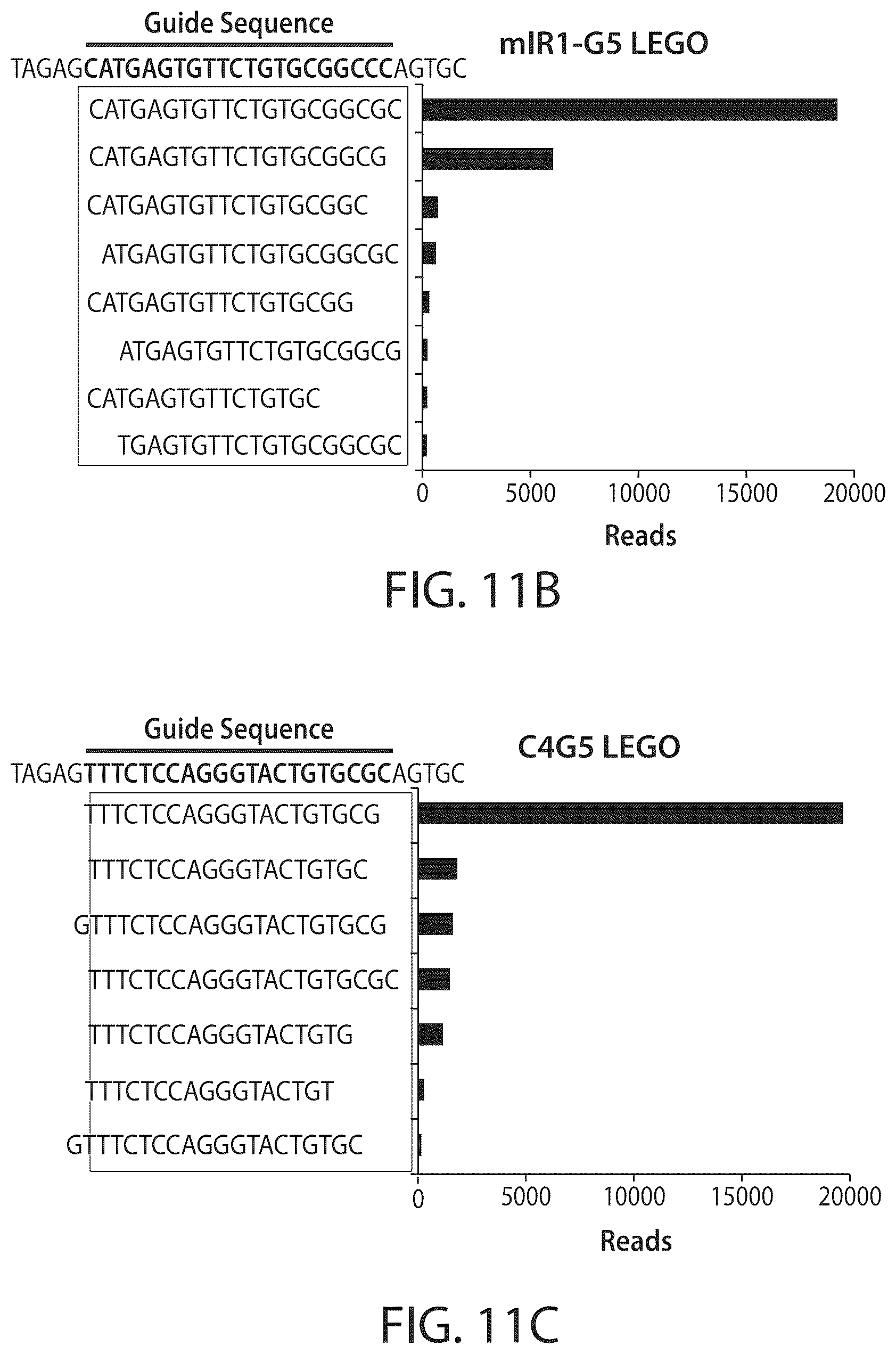 Patent US12350284 Figure 18 – BCL11A microRNAs for treating hemoglobinopathies