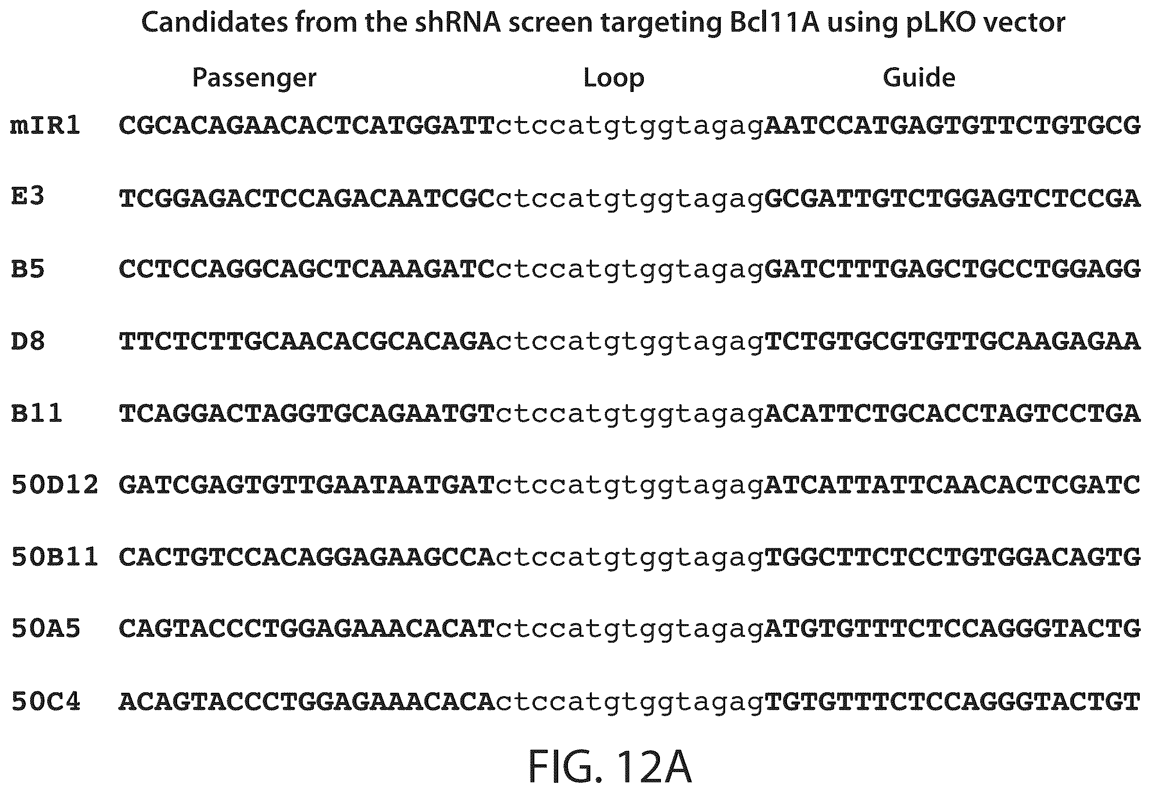 Patent US12350284 Figure 19 – BCL11A microRNAs for treating hemoglobinopathies