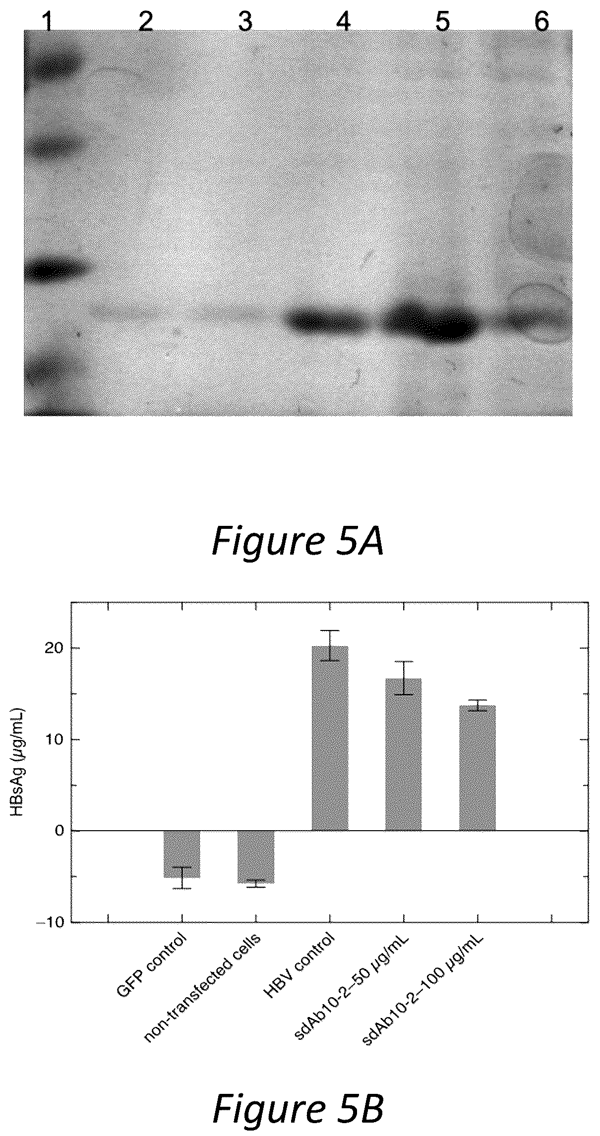 Patent US12350286 Figure 5 – Polypeptides directed against viral infection and uses thereof