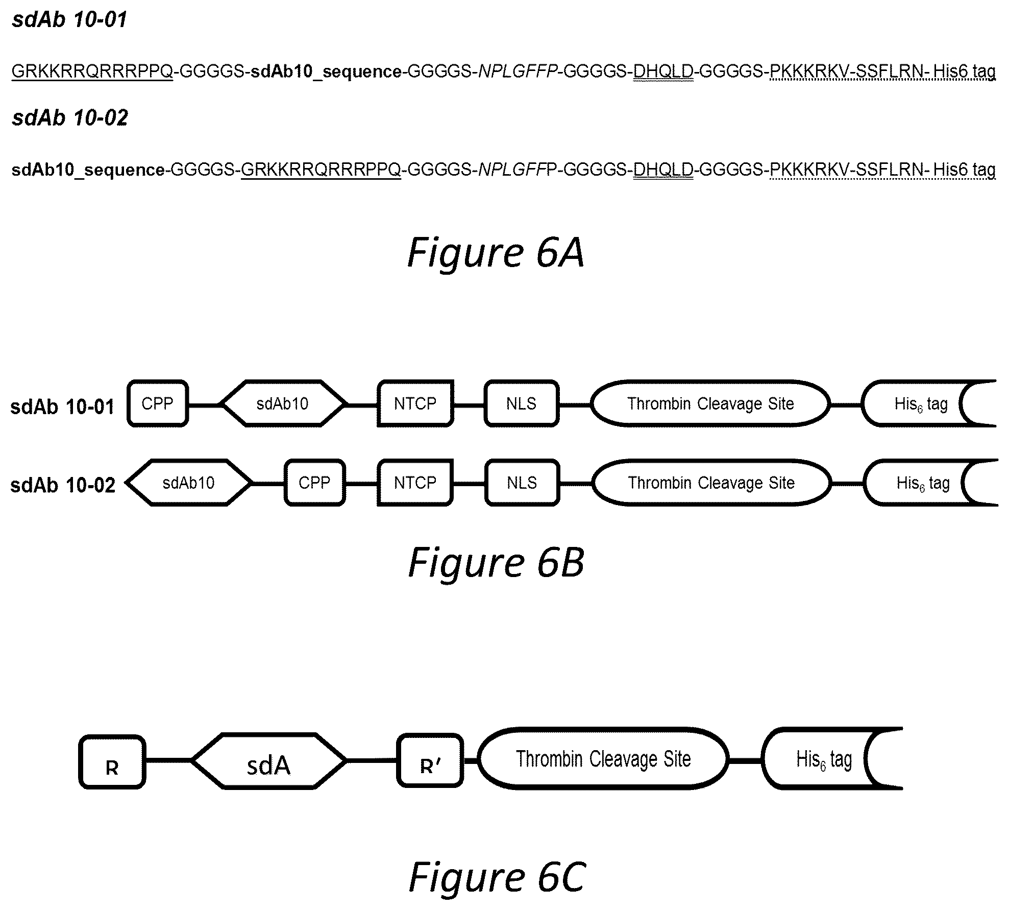 Patent US12350286 Figure 6 – Polypeptides directed against viral infection and uses thereof