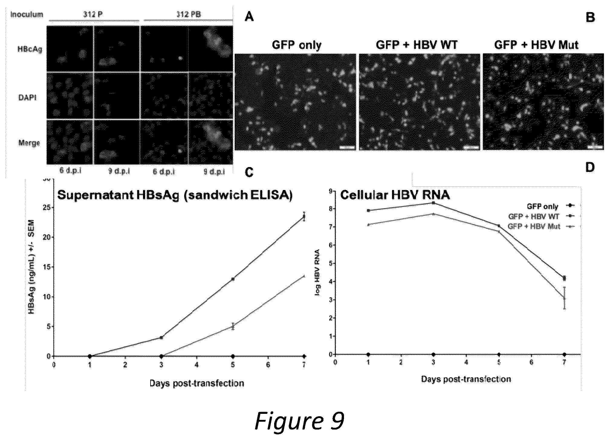 Patent US12350286 Figure 9 – Polypeptides directed against viral infection and uses thereof