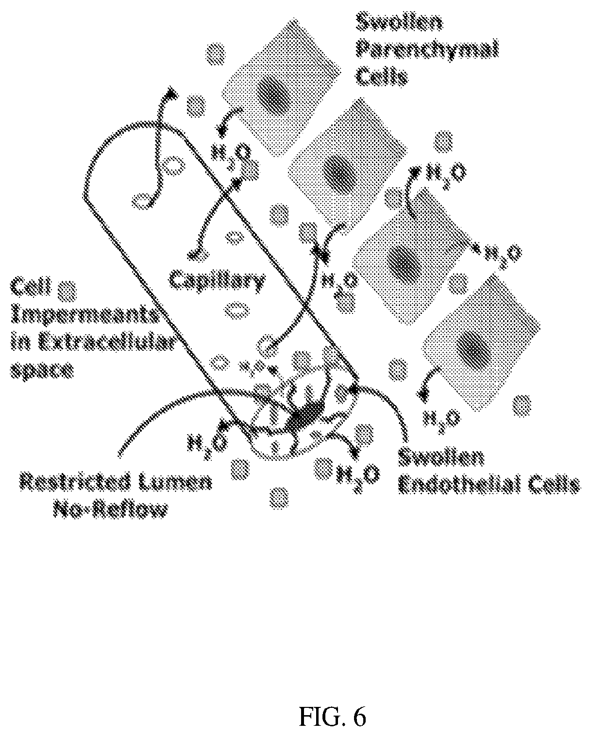 Patent US12350289 Figure 6 – Polymer agents for cardiopulmonary resuscitation
