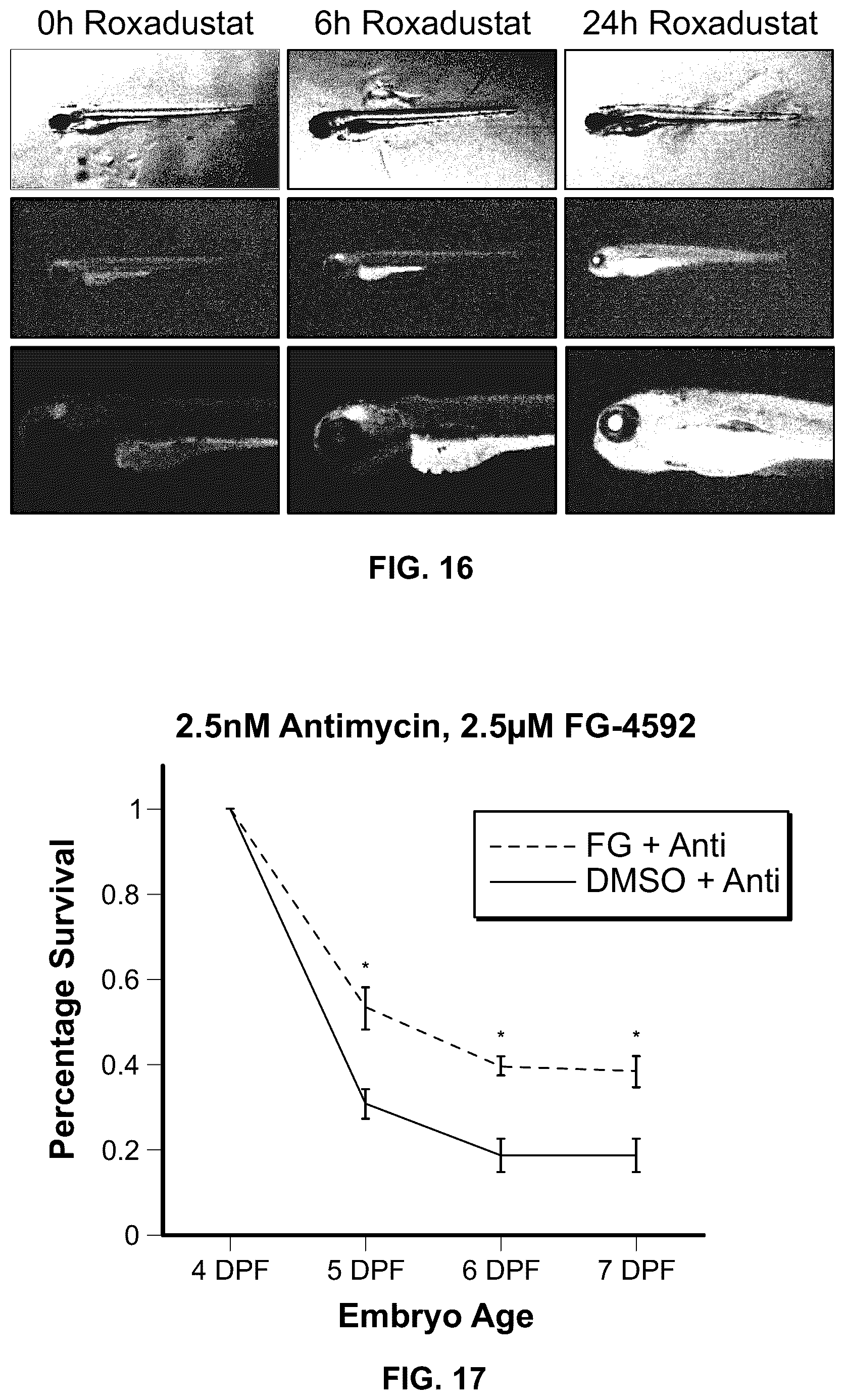 Patent US12350290 Figure 13 – Compositions and methods that promote hypoxia or the hypoxia response for treatment and prevention of mitochondrial dysfunction and oxidative stress disorders