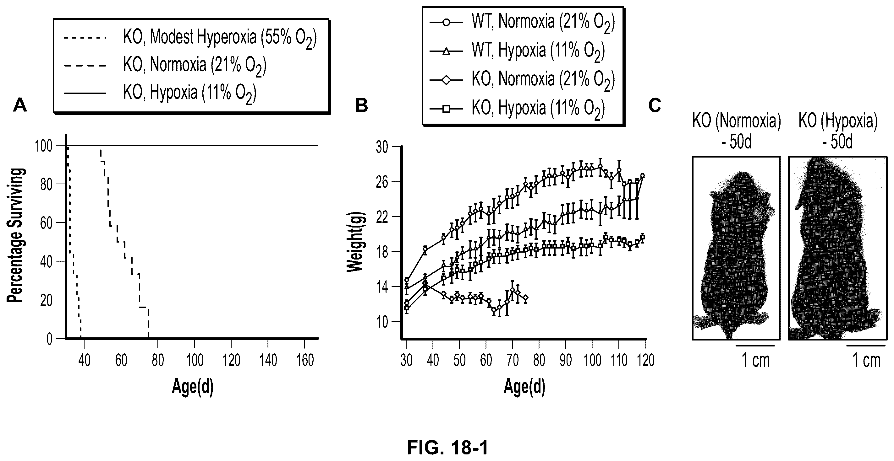 Patent US12350290 Figure 14 – Compositions and methods that promote hypoxia or the hypoxia response for treatment and prevention of mitochondrial dysfunction and oxidative stress disorders