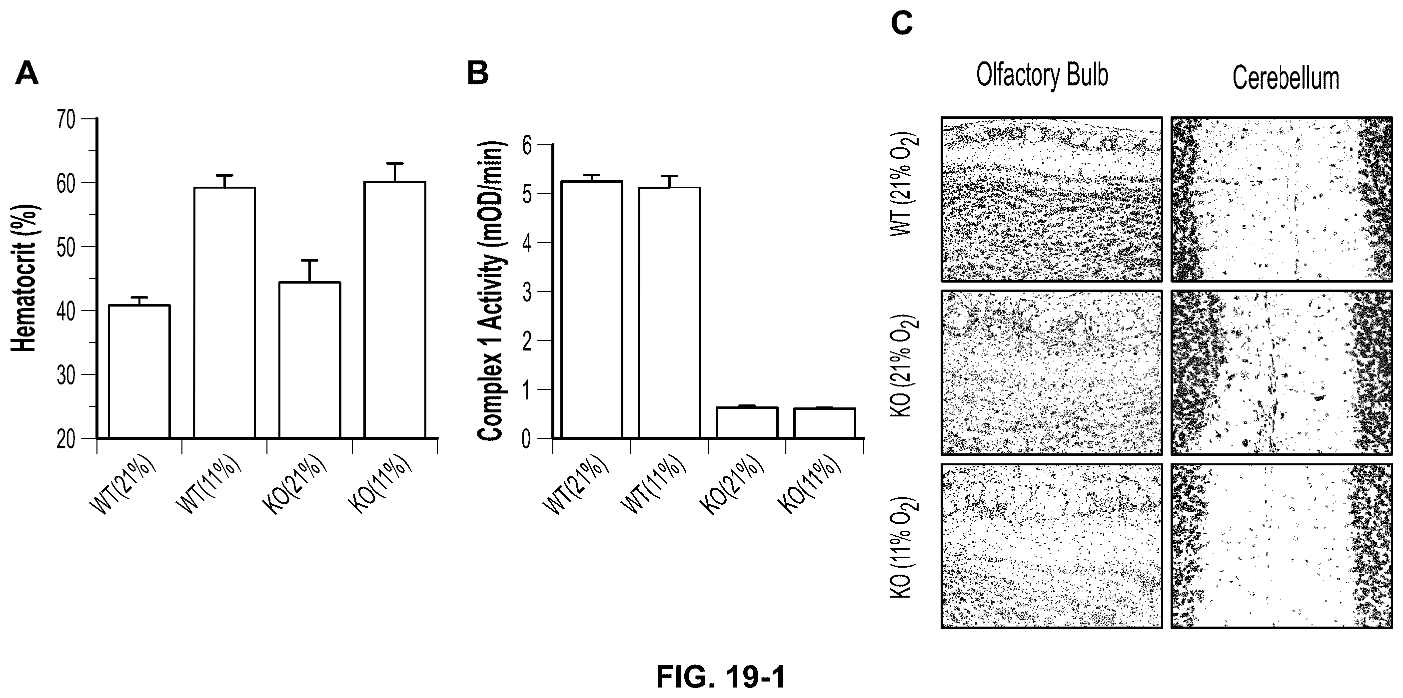 Patent US12350290 Figure 17 – Compositions and methods that promote hypoxia or the hypoxia response for treatment and prevention of mitochondrial dysfunction and oxidative stress disorders
