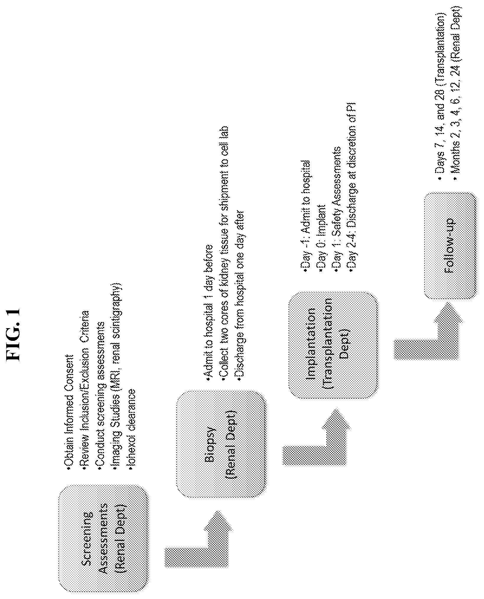 Patent US12350292 Figure 1 – Bioactive renal cells for the treatment of chronic kidney disease