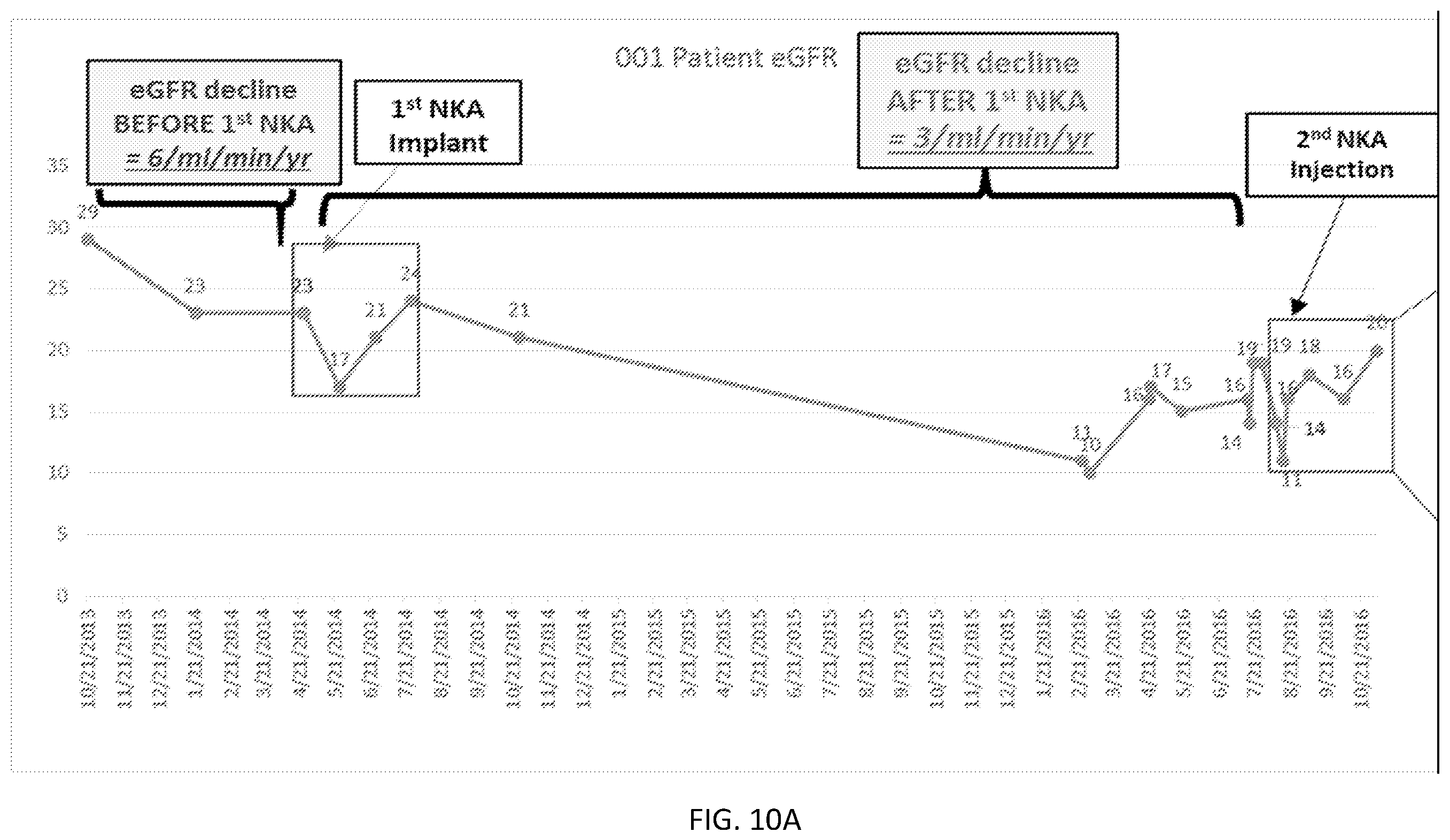 Patent US12350292 Figure 16 – Bioactive renal cells for the treatment of chronic kidney disease