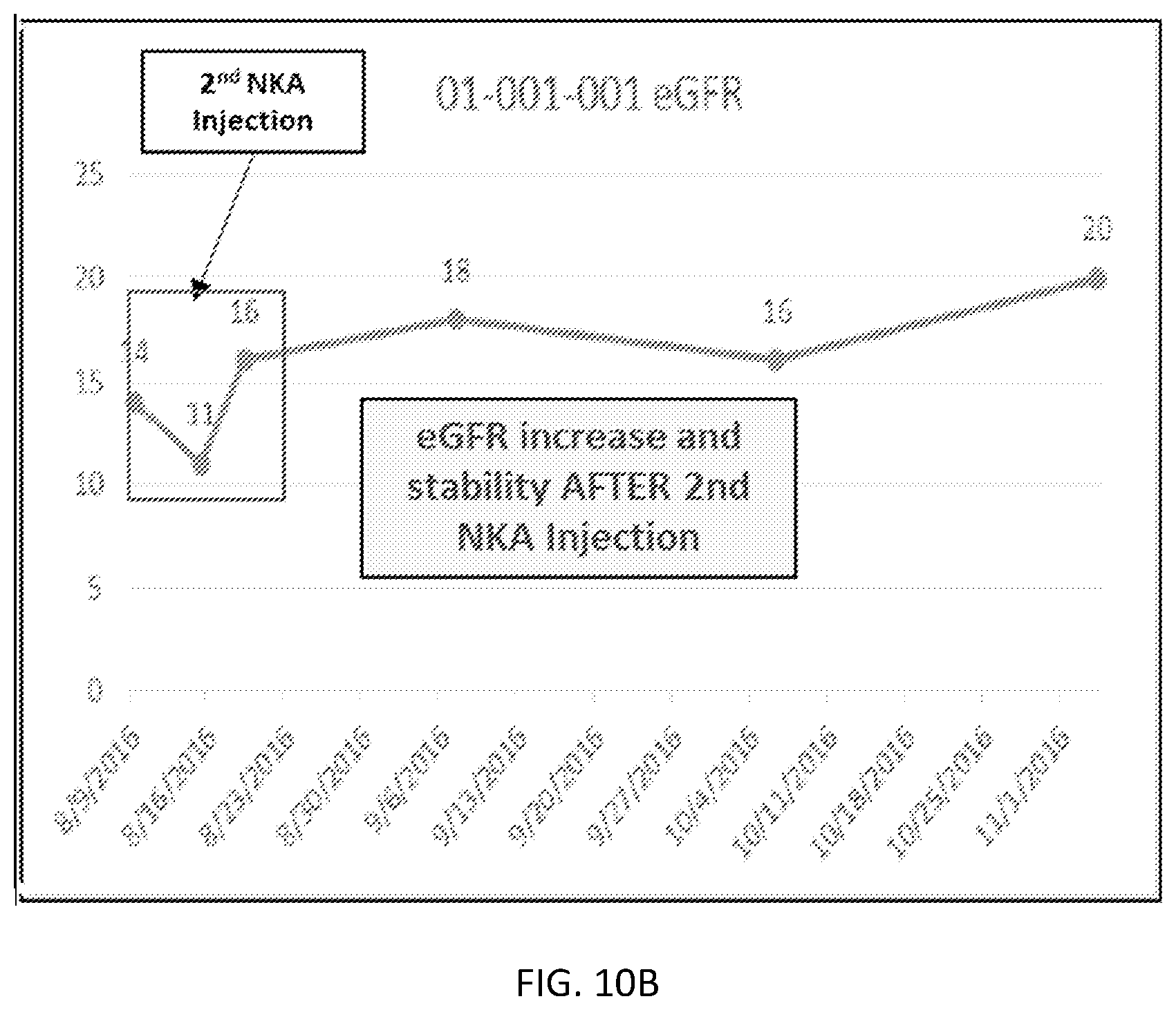 Patent US12350292 Figure 17 – Bioactive renal cells for the treatment of chronic kidney disease