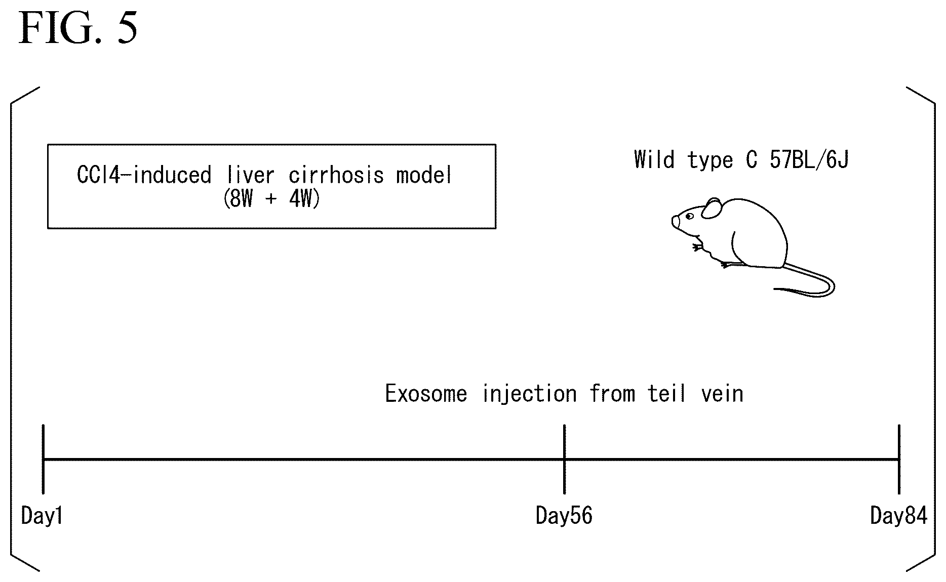 Patent US12350293 Figure 5 – Induction method for macrophage, anti-inflammatory macrophage-inducing agent, and pharmaceutical composition