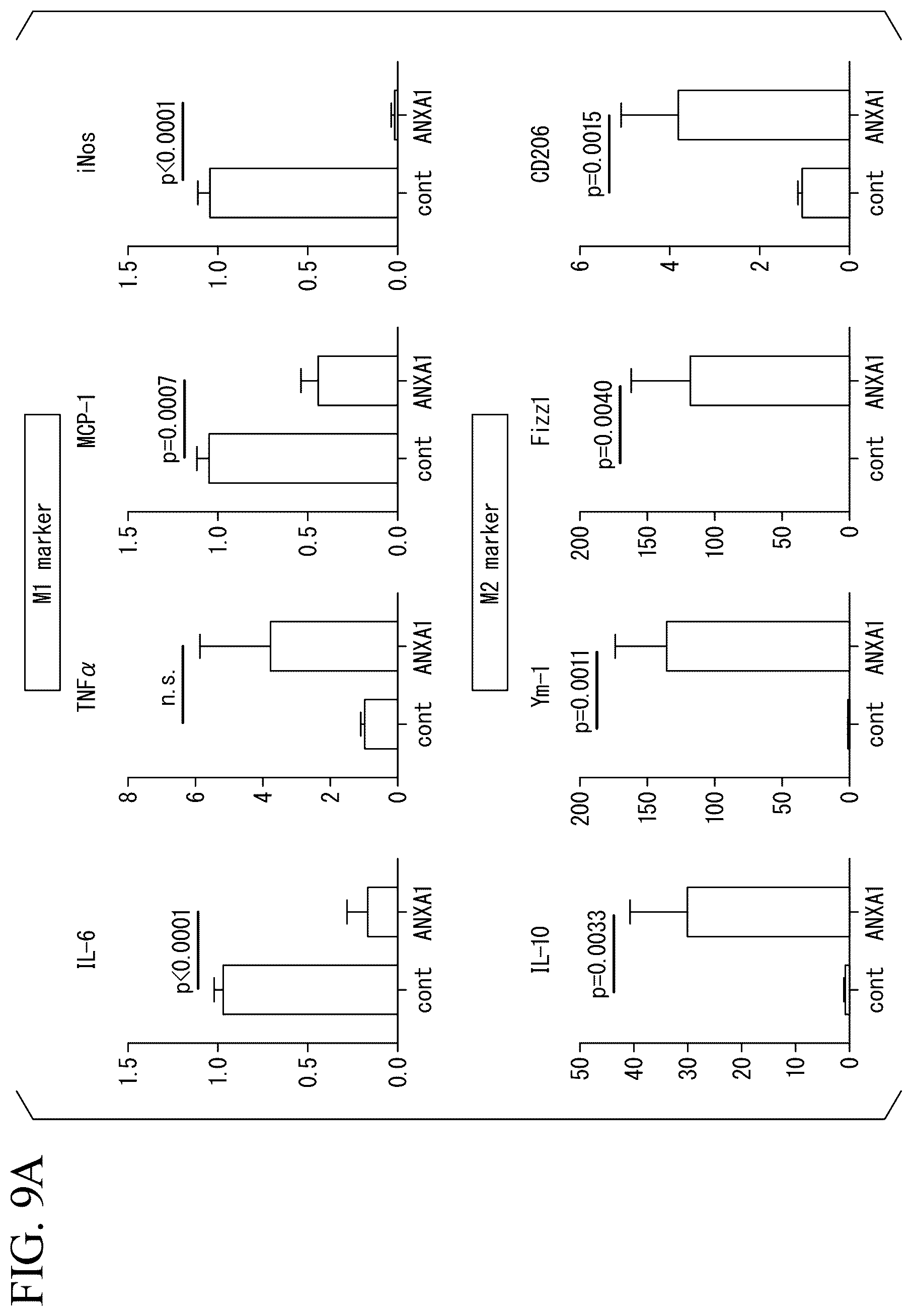 Patent US12350293 Figure 9 – Induction method for macrophage, anti-inflammatory macrophage-inducing agent, and pharmaceutical composition