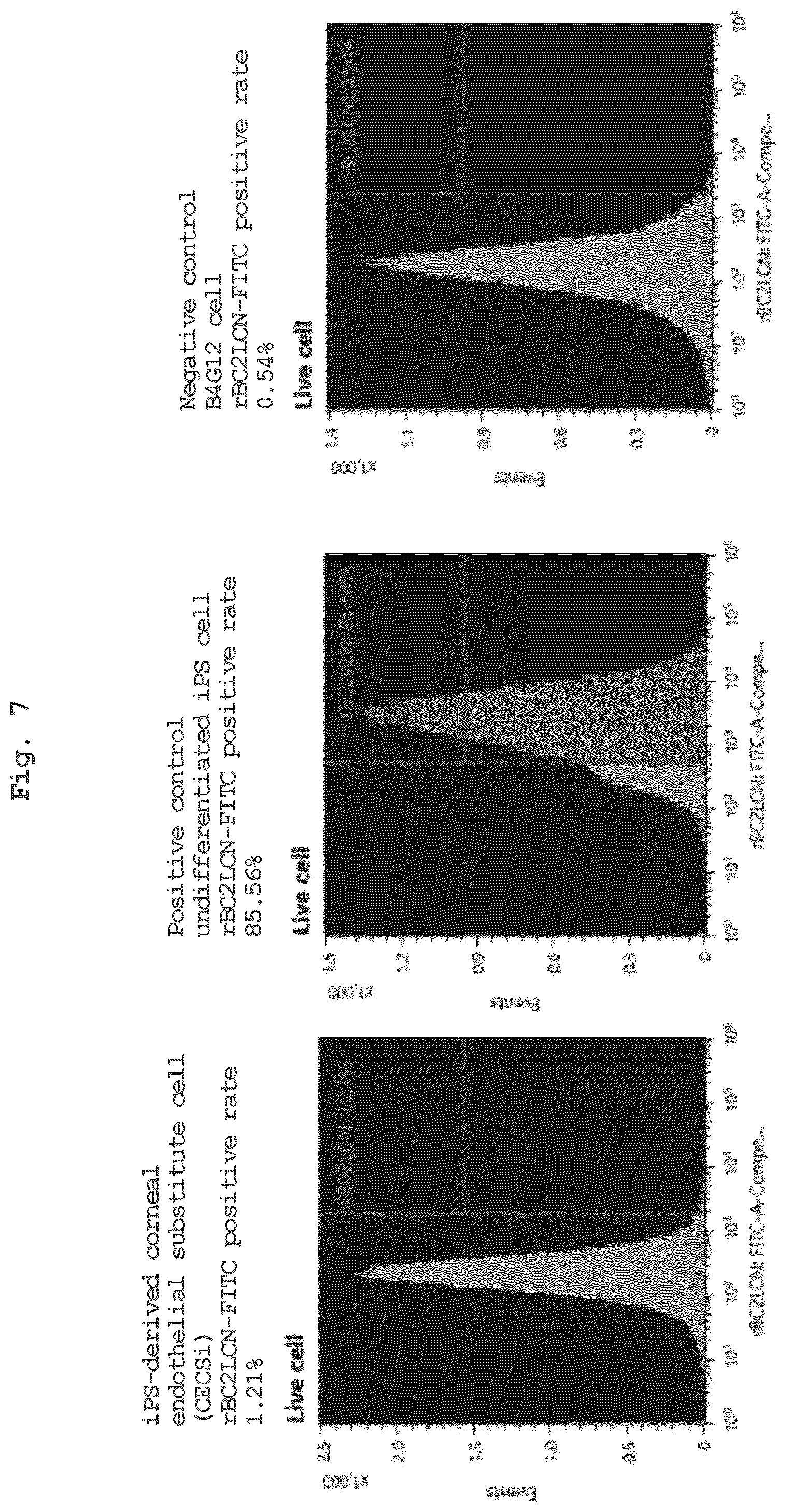 Patent US12350294 Figure 6 – Medium comprising serum replacement, IGF1, STAT3 activator and adrenal gland hormone without BFGF or rock inhibitor for producing corneal endothelial substitute cells from iPS cells and a method thereof