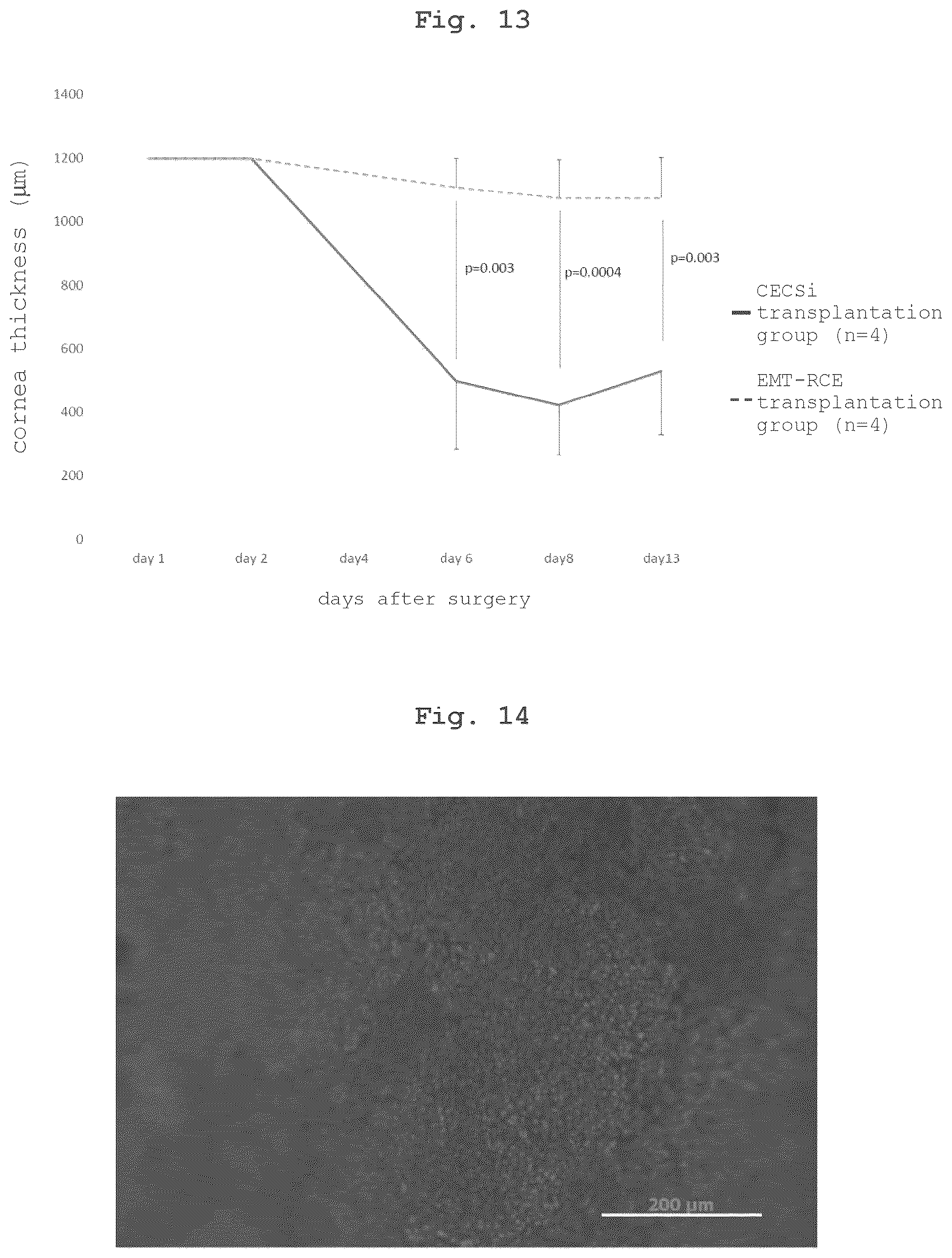 Patent US12350294 Figure 10 – Medium comprising serum replacement, IGF1, STAT3 activator and adrenal gland hormone without BFGF or rock inhibitor for producing corneal endothelial substitute cells from iPS cells and a method thereof