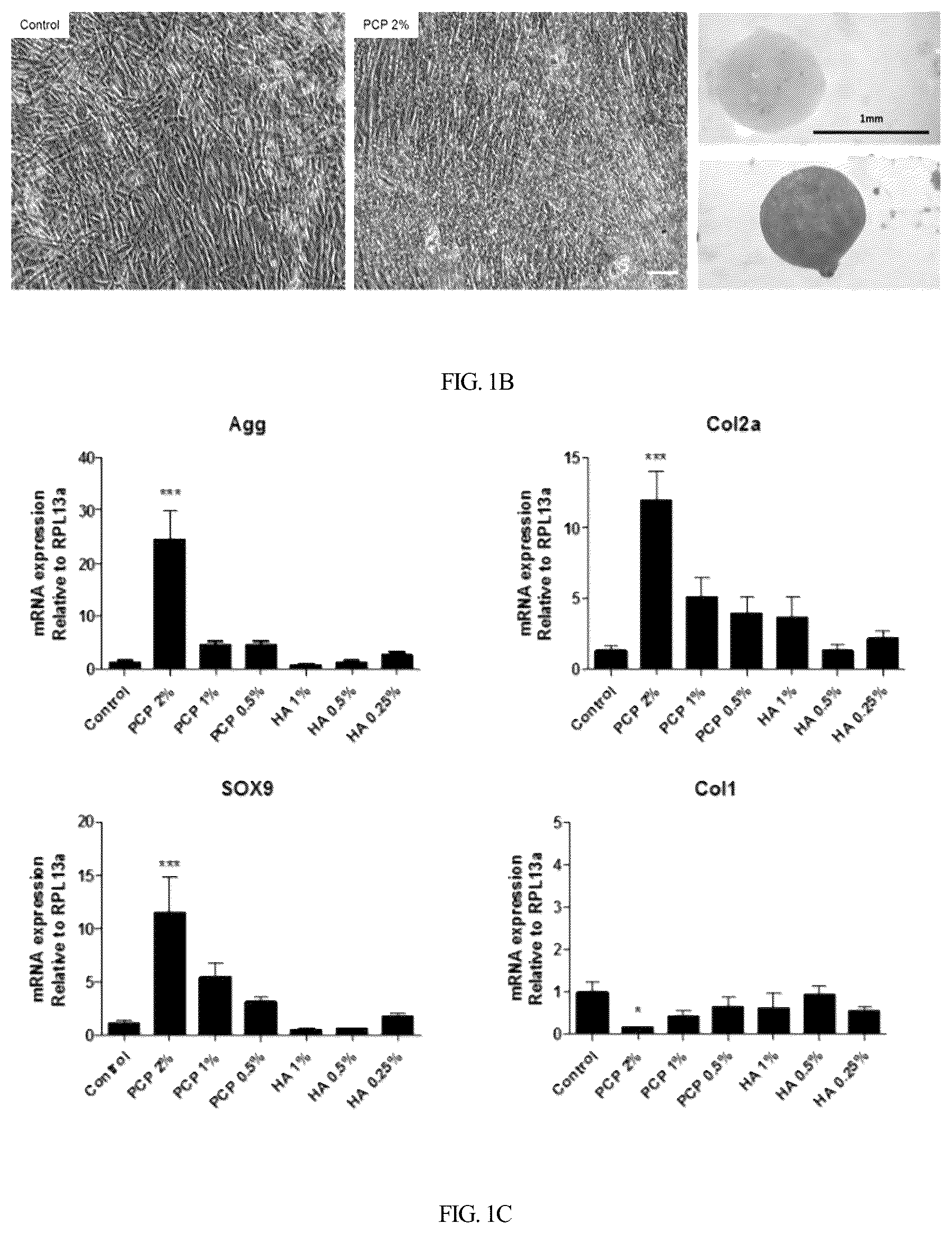 Patent US12350295 Figure 2 – Complex for promoting cartilage differentiation comprising cartilage cell-free crush and stem cell and use thereof